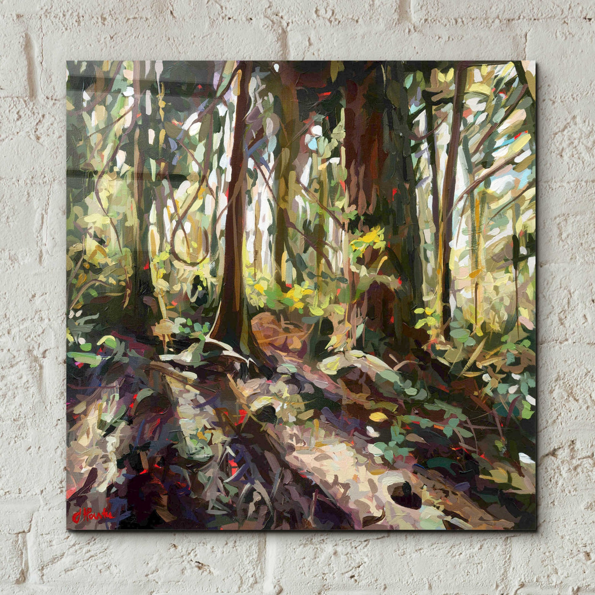 Epic Art 'Cedar Shadows' by Joanne Hastie, Acrylic Glass Wall Art,12x12