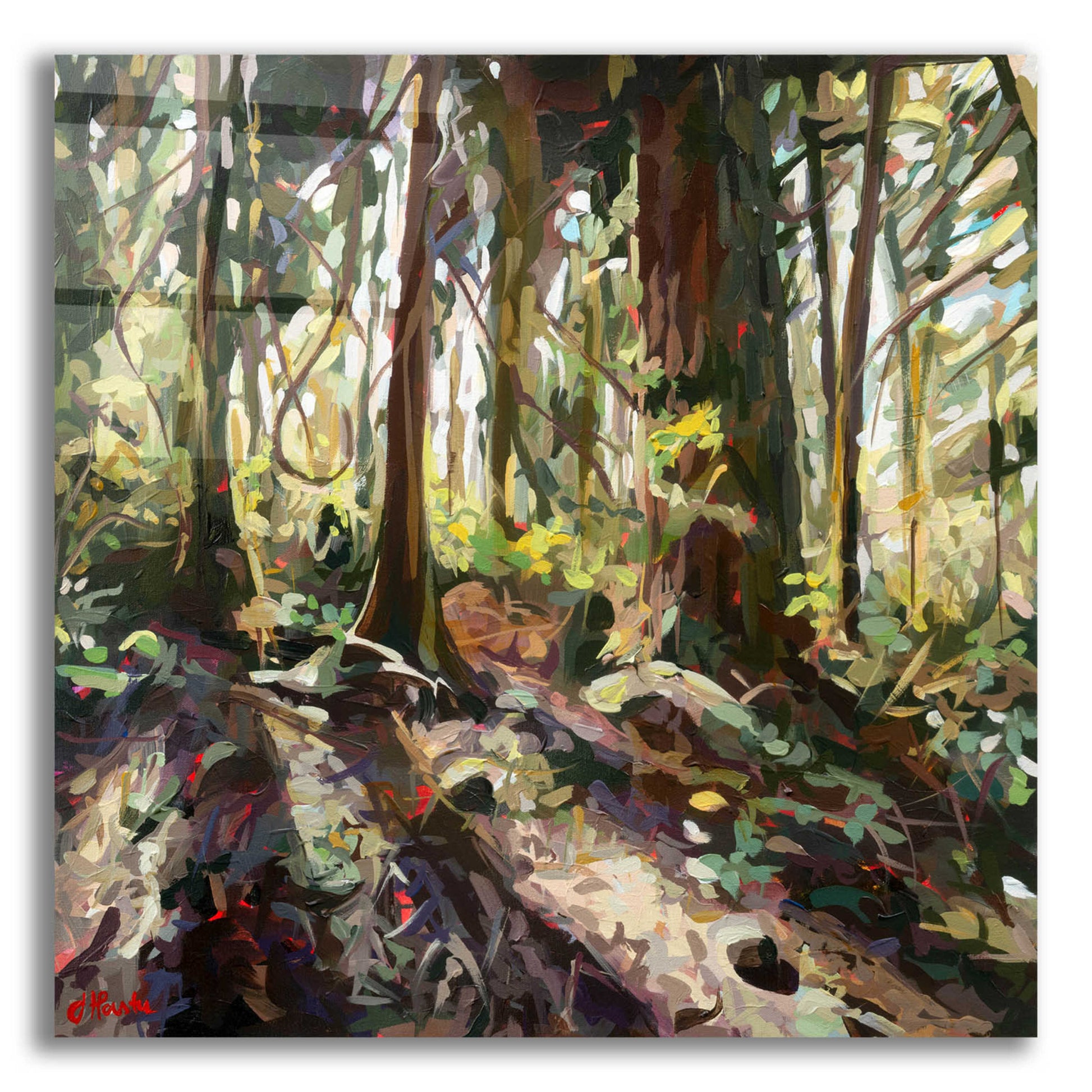 Epic Art 'Cedar Shadows' by Joanne Hastie, Acrylic Glass Wall Art,12x12