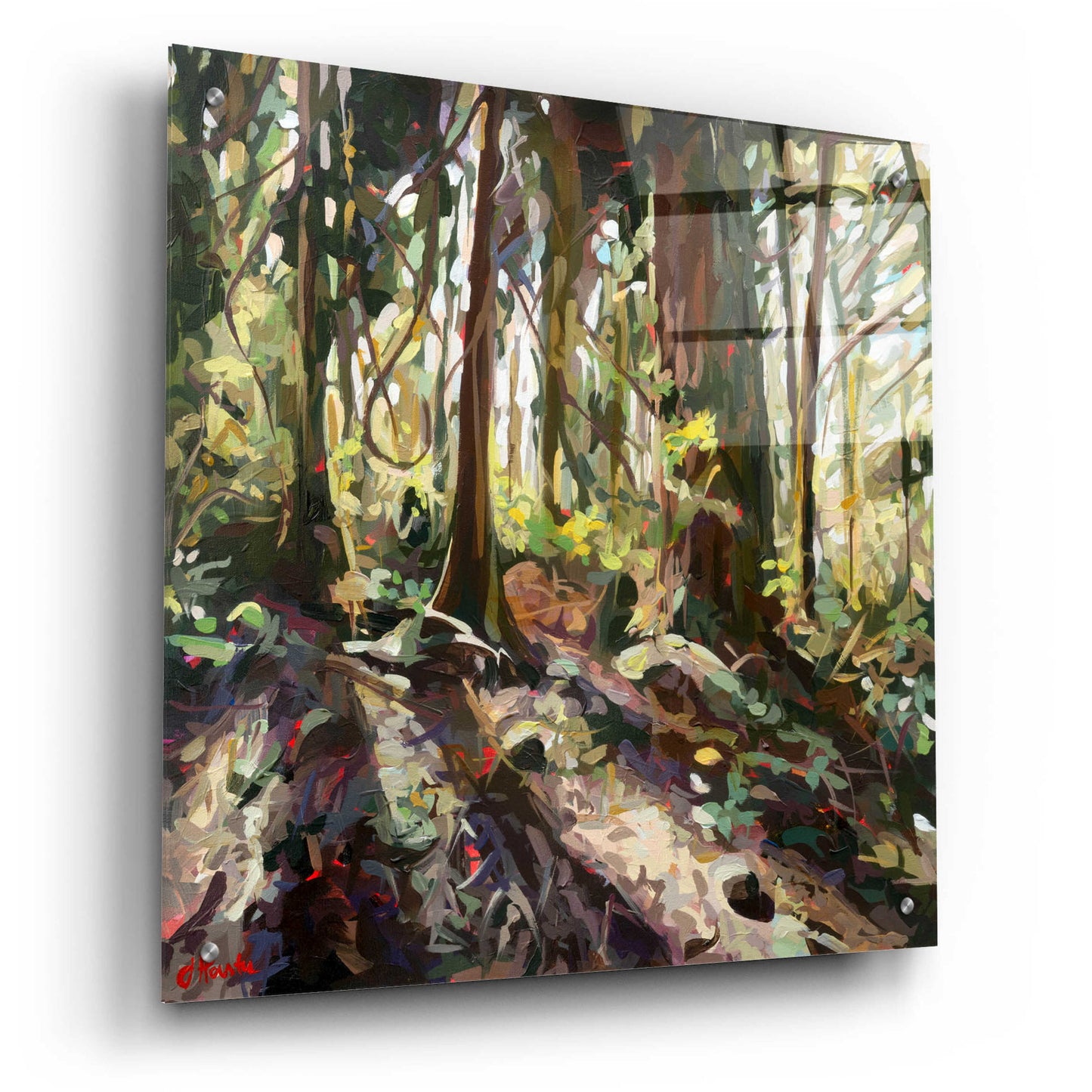 Epic Art 'Cedar Shadows' by Joanne Hastie, Acrylic Glass Wall Art,24x24