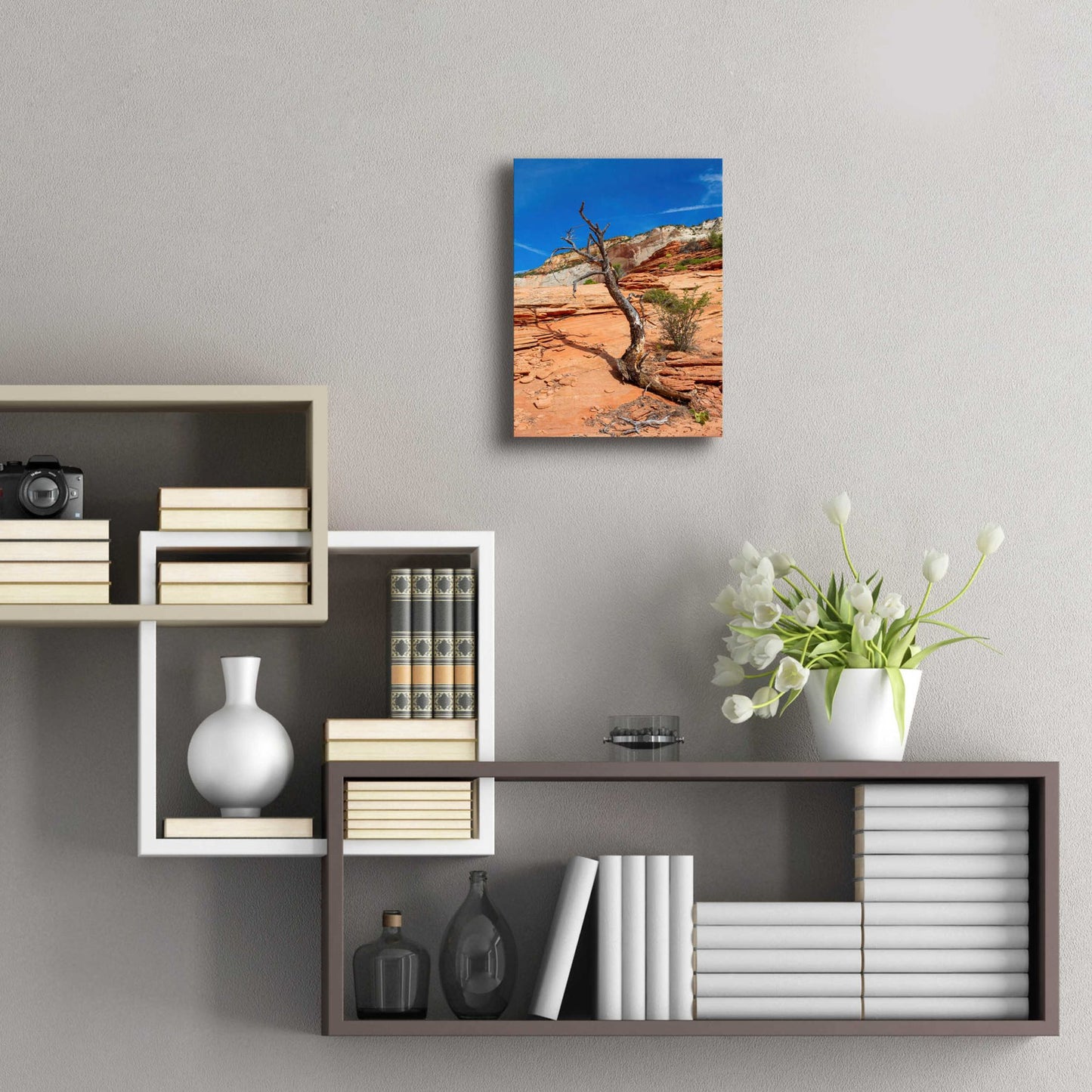 Epic Art 'Utah 3' by Epic Portfolio, Acrylic Glass Wall Art,12x16