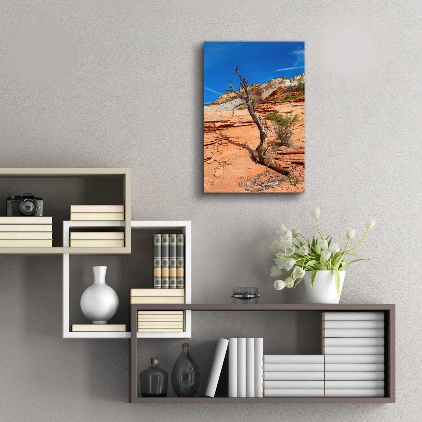 Epic Art 'Utah 3' by Epic Portfolio, Acrylic Glass Wall Art,16x24