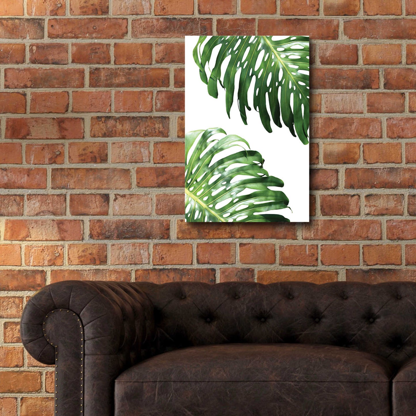 Epic Art 'Double Philodendron (color)' by Lexie Greer,16x24