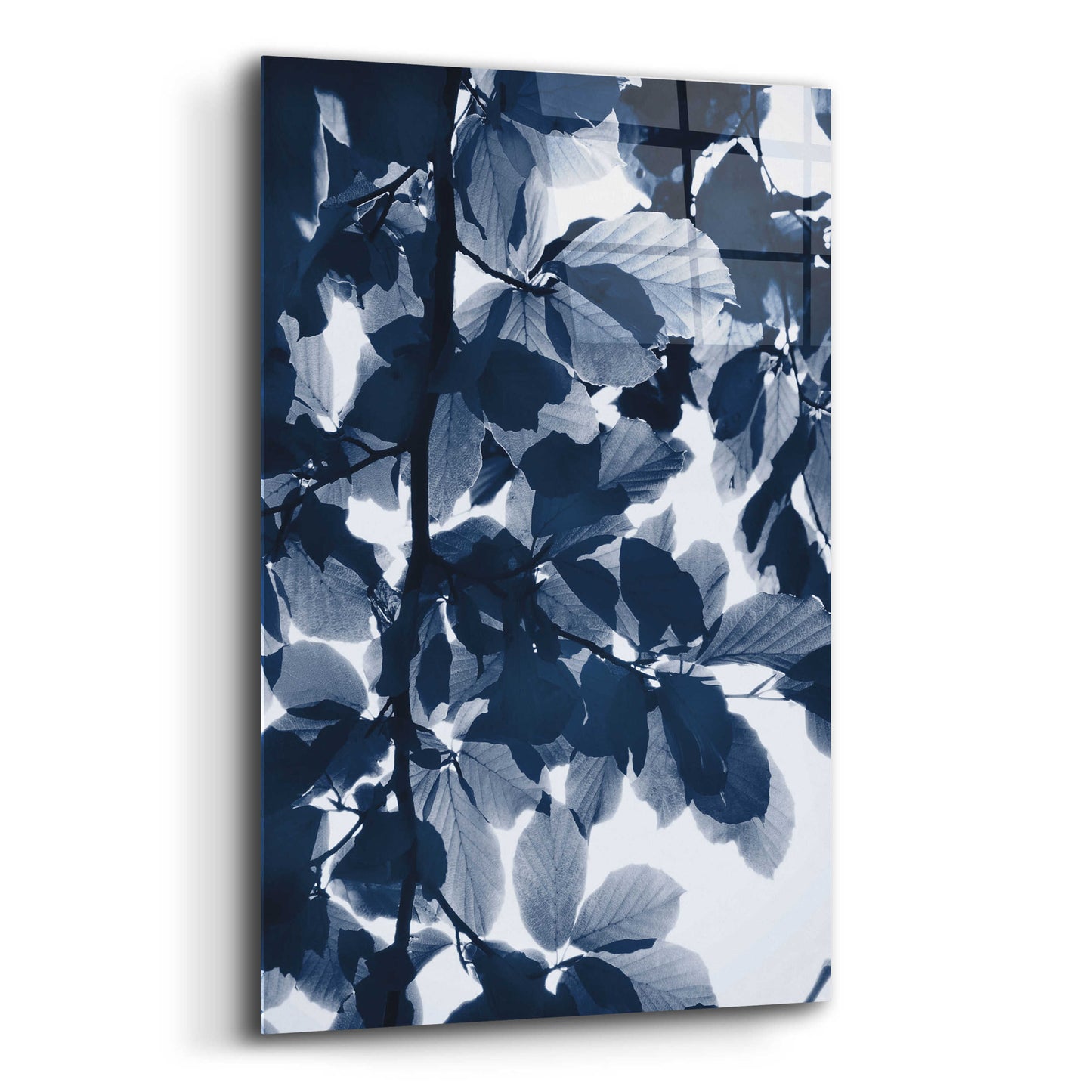 Epic Art 'Indigo Leaves' by Lexie Greer,16x24