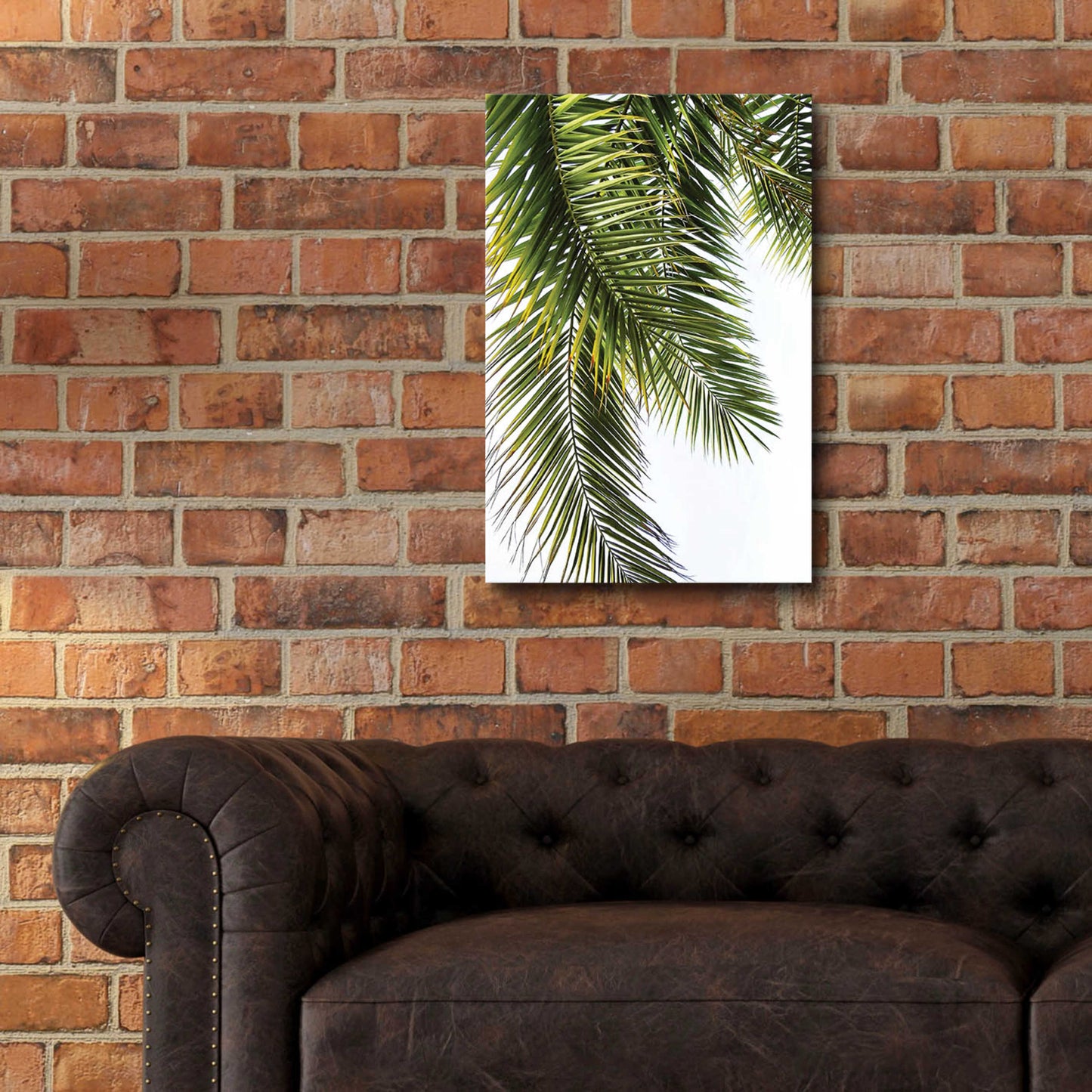 Epic Art 'Palm Leaves' by Lexie Greer,16x24