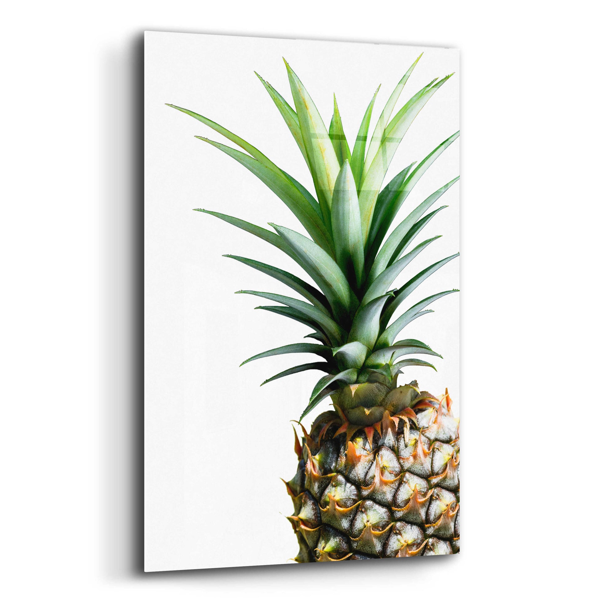 Epic Art 'Pineapple (color)' by Lexie Greer,12x16