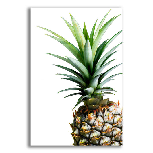 Epic Art 'Pineapple (color)' by Lexie Greer