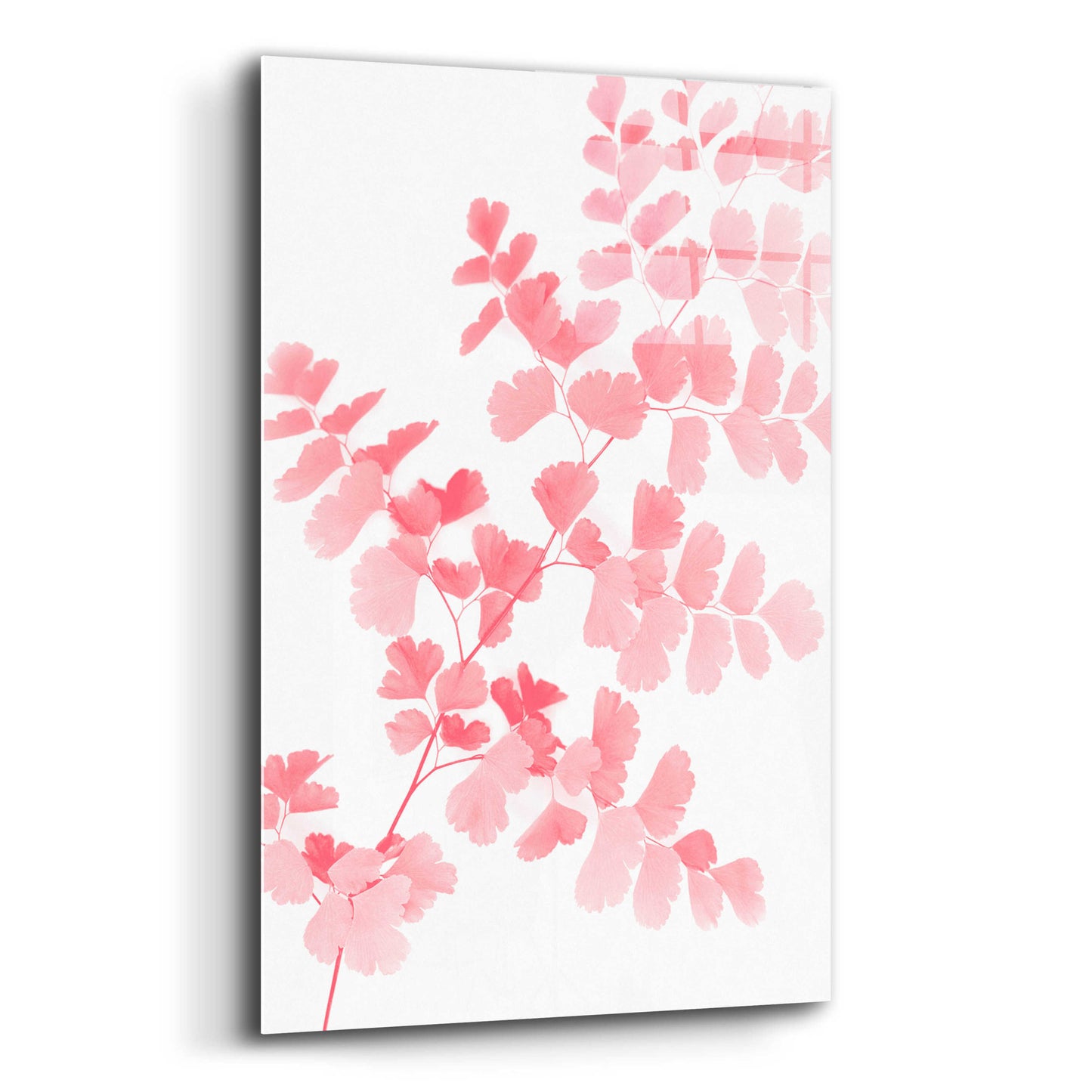 Epic Art 'Pink Maidenhair' by Lexie Greer,12x16