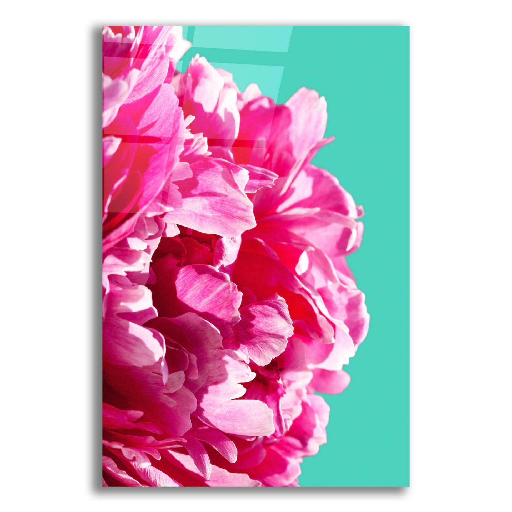 Epic Art 'Pink Peony' by Lexie Greer