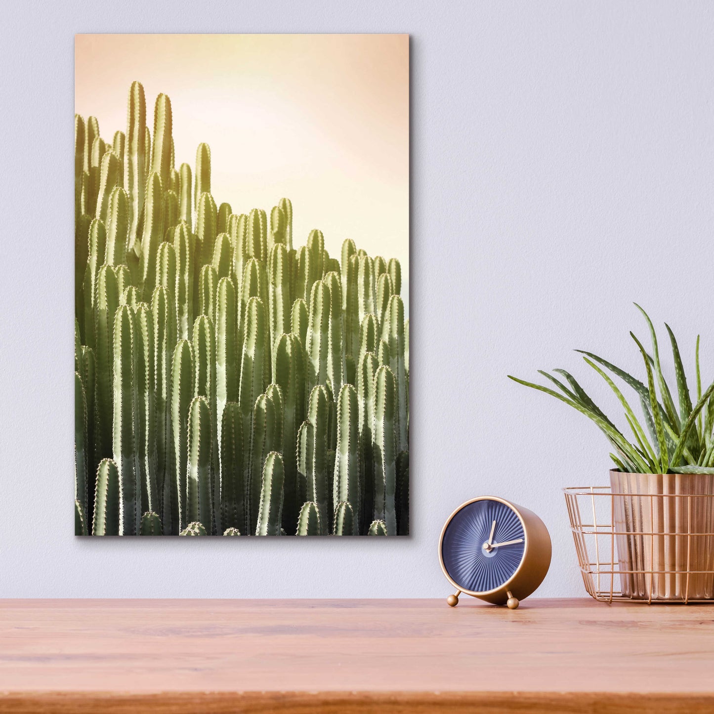 Epic Art 'Pink Sky Cactus' by Lexie Greer,12x16