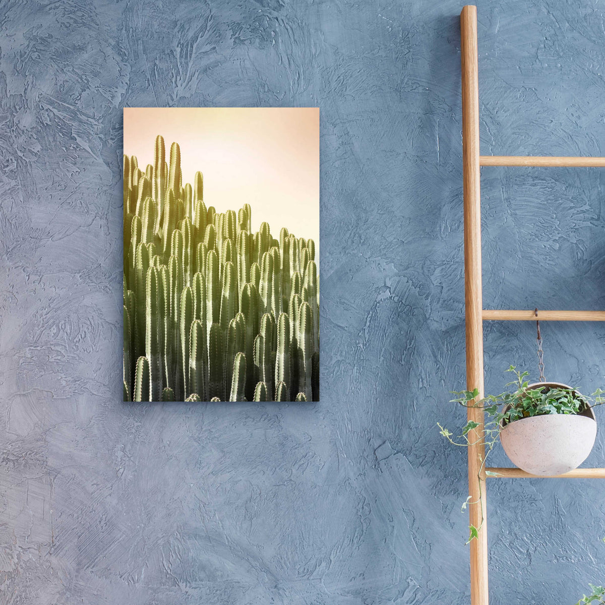 Epic Art 'Pink Sky Cactus' by Lexie Greer,16x24