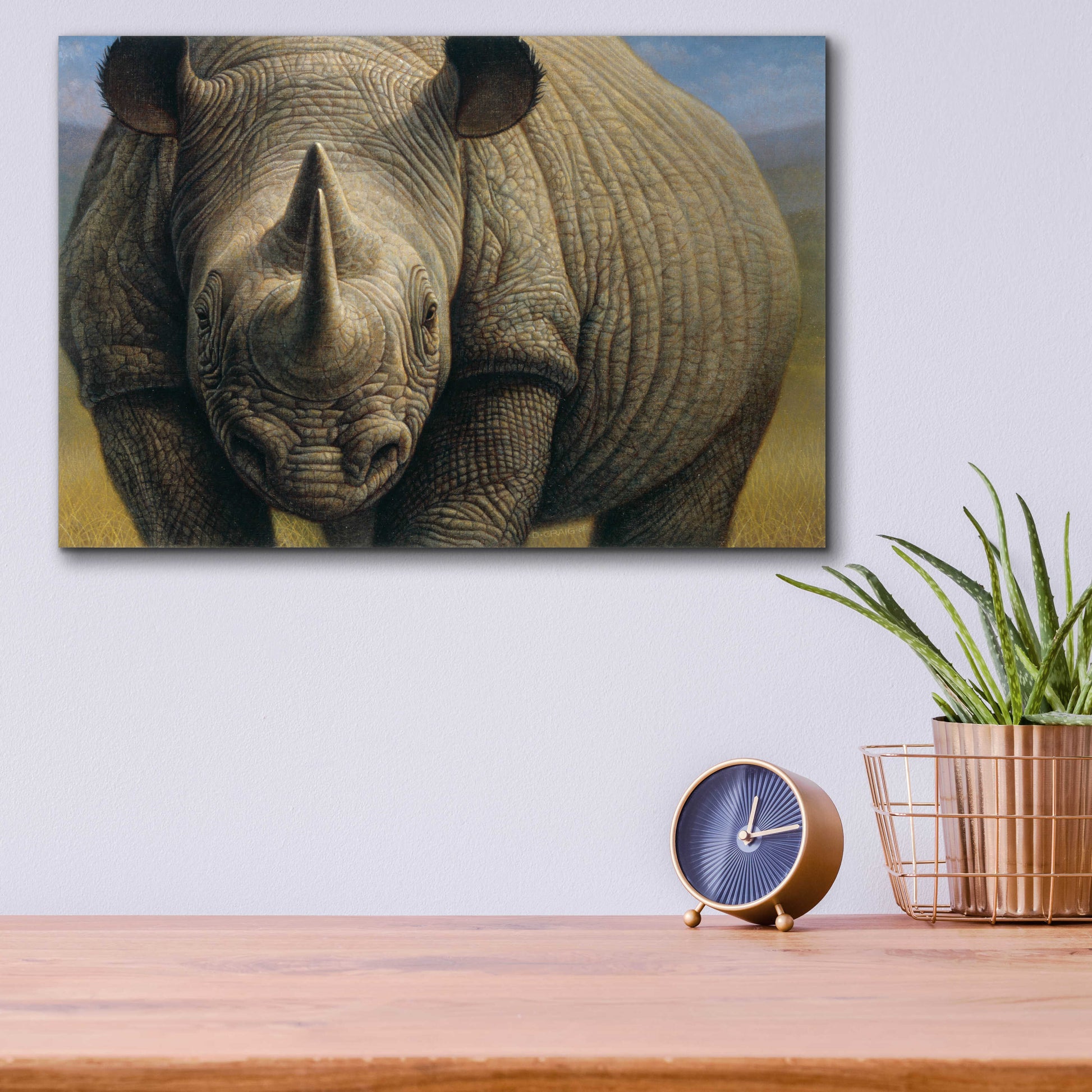 Epic Art 'Rhinos' by Dan Craig, Acrylic Glass Wall Art,16x12
