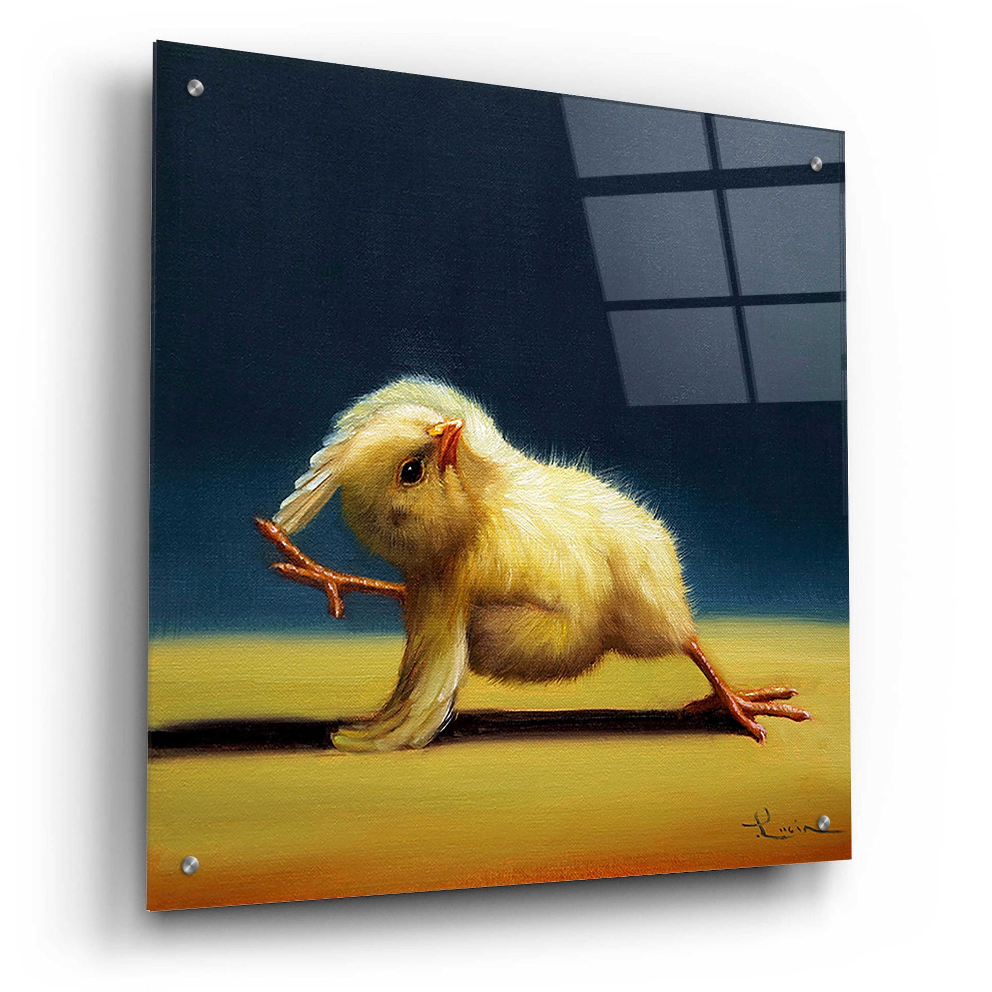 Epic Art 'Yoga Chick Bind' by Lucia Heffernan,24x24