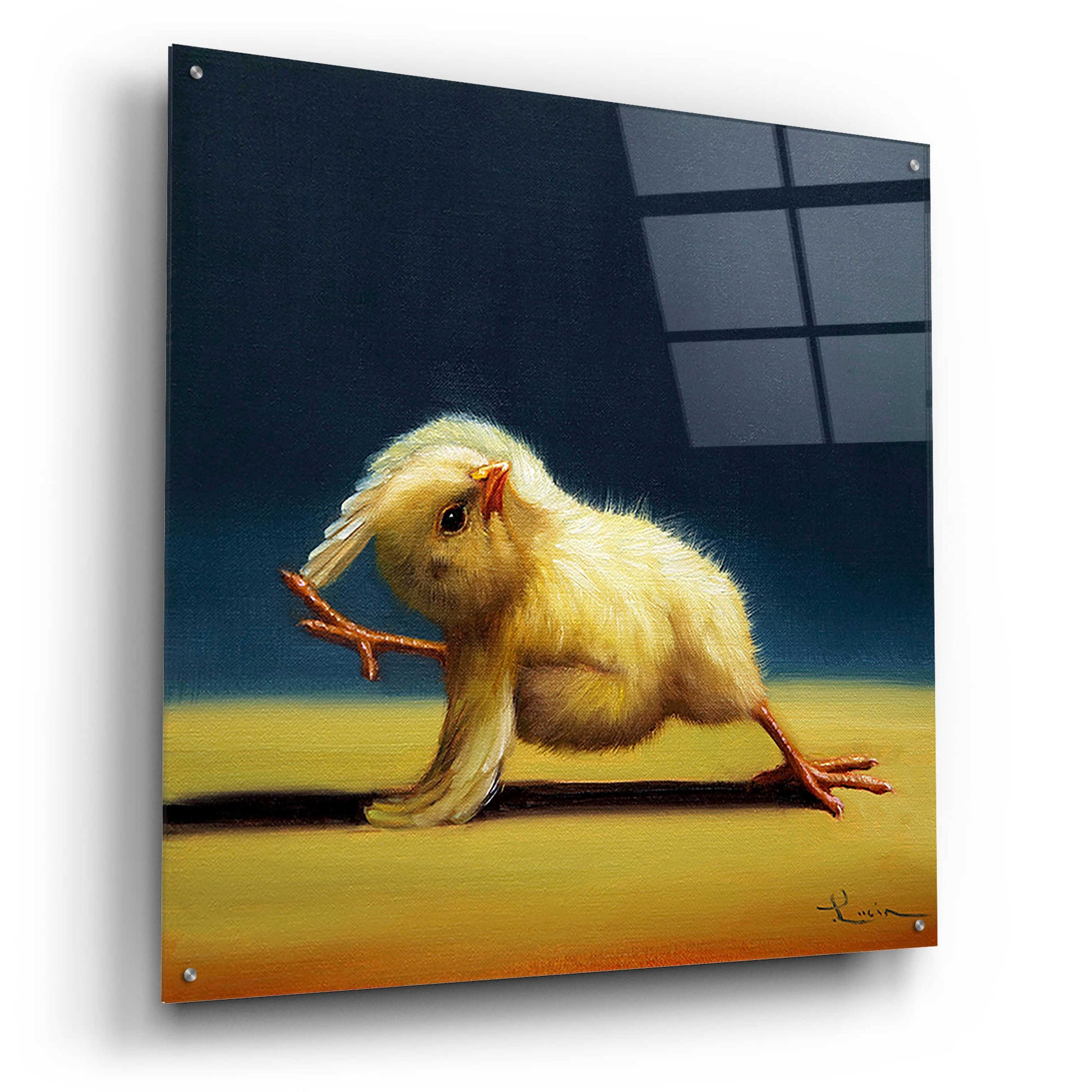 Epic Art 'Yoga Chick Bind' by Lucia Heffernan,36x36