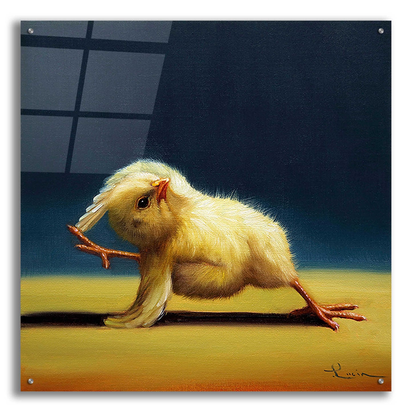 Epic Art 'Yoga Chick Bind' by Lucia Heffernan,36x36