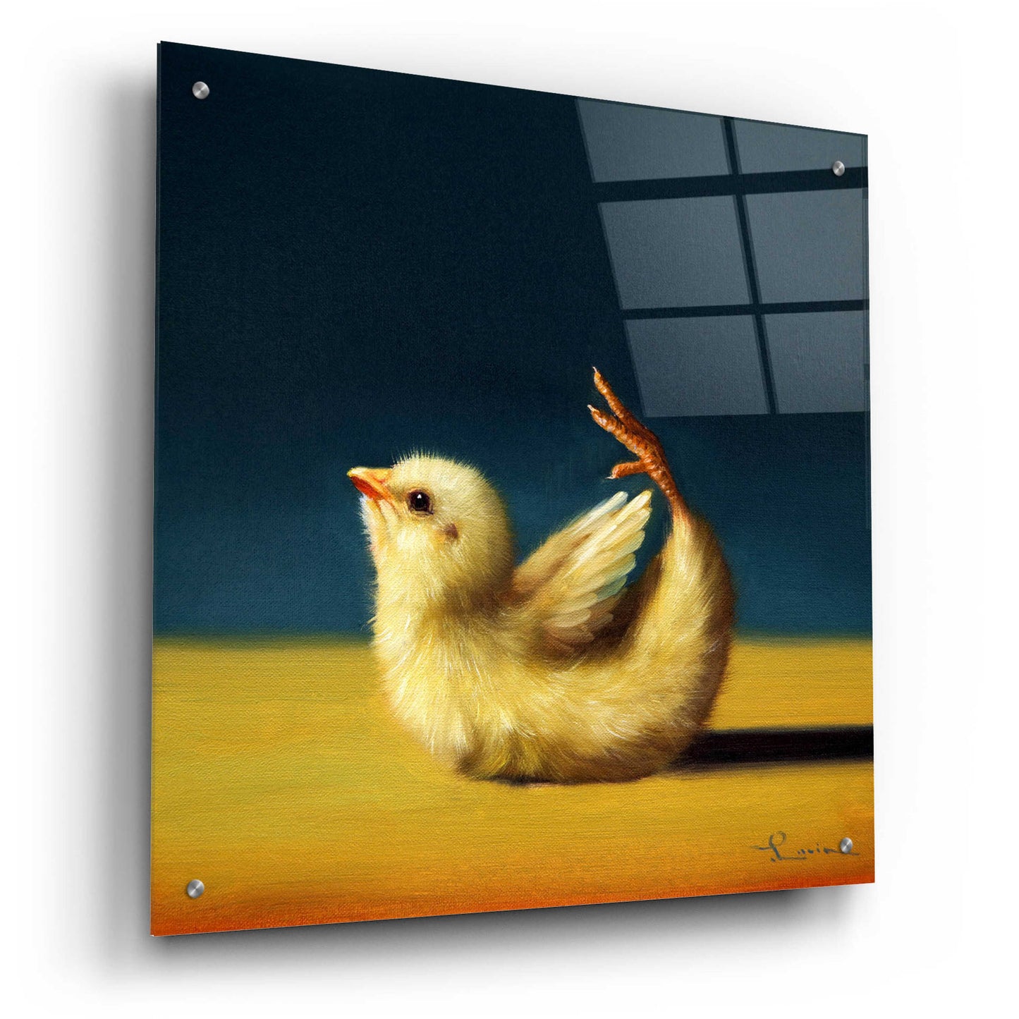 Epic Art 'Yoga Chick Bow Pose' by Lucia Heffernan,24x24