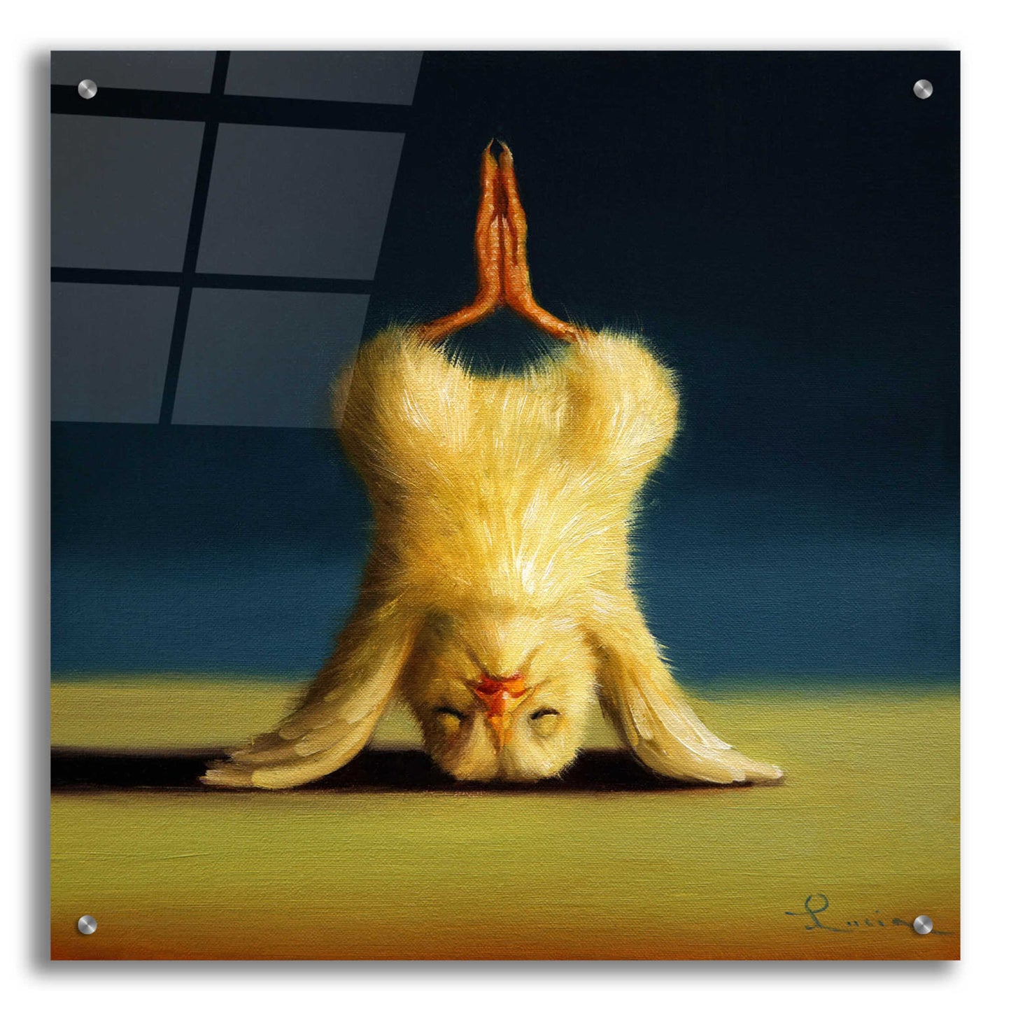 Epic Art 'Yoga Chick Lotus Headstand' by Lucia Heffernan,24x24