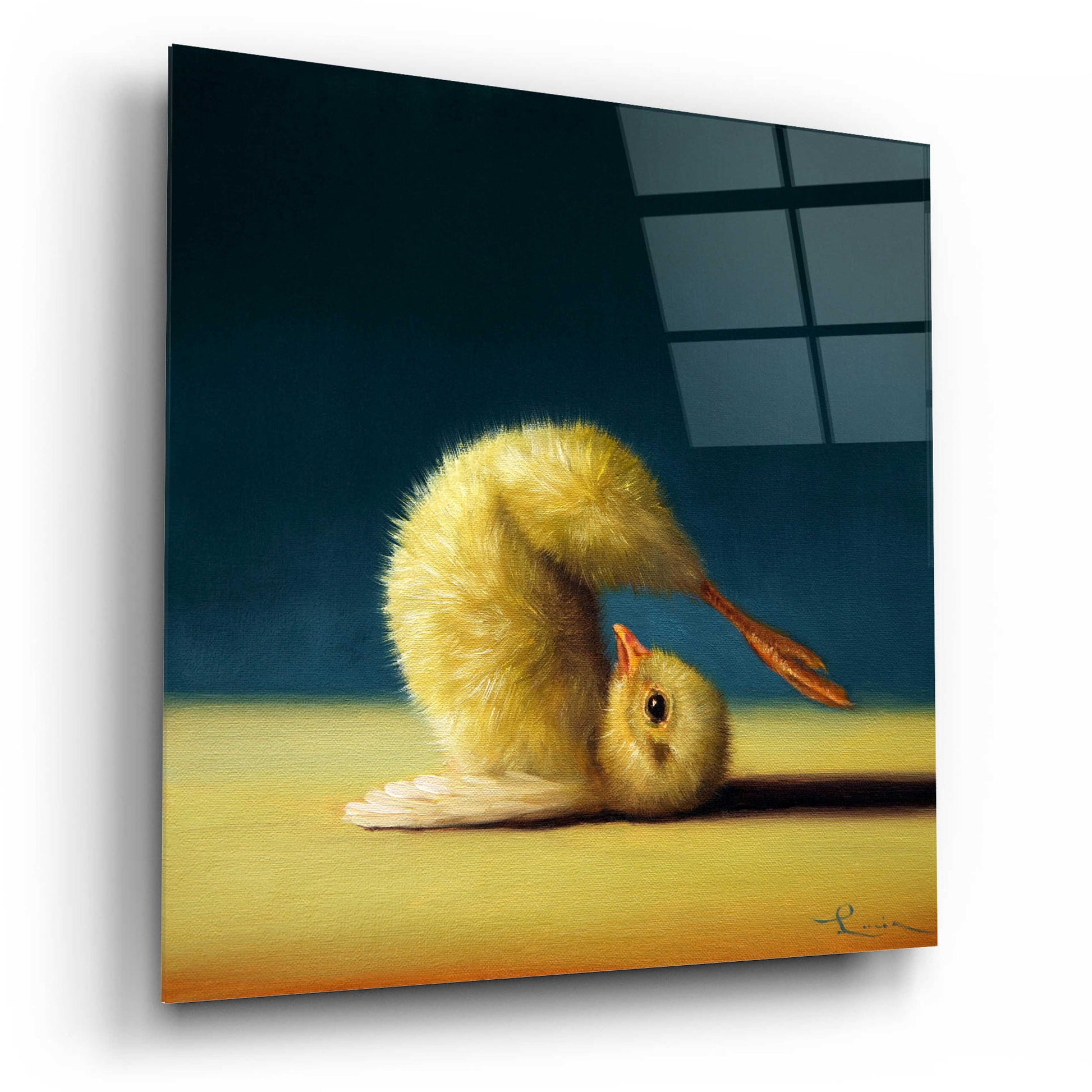 Epic Art 'Yoga Chick Plow Pose' by Lucia Heffernan,12x12