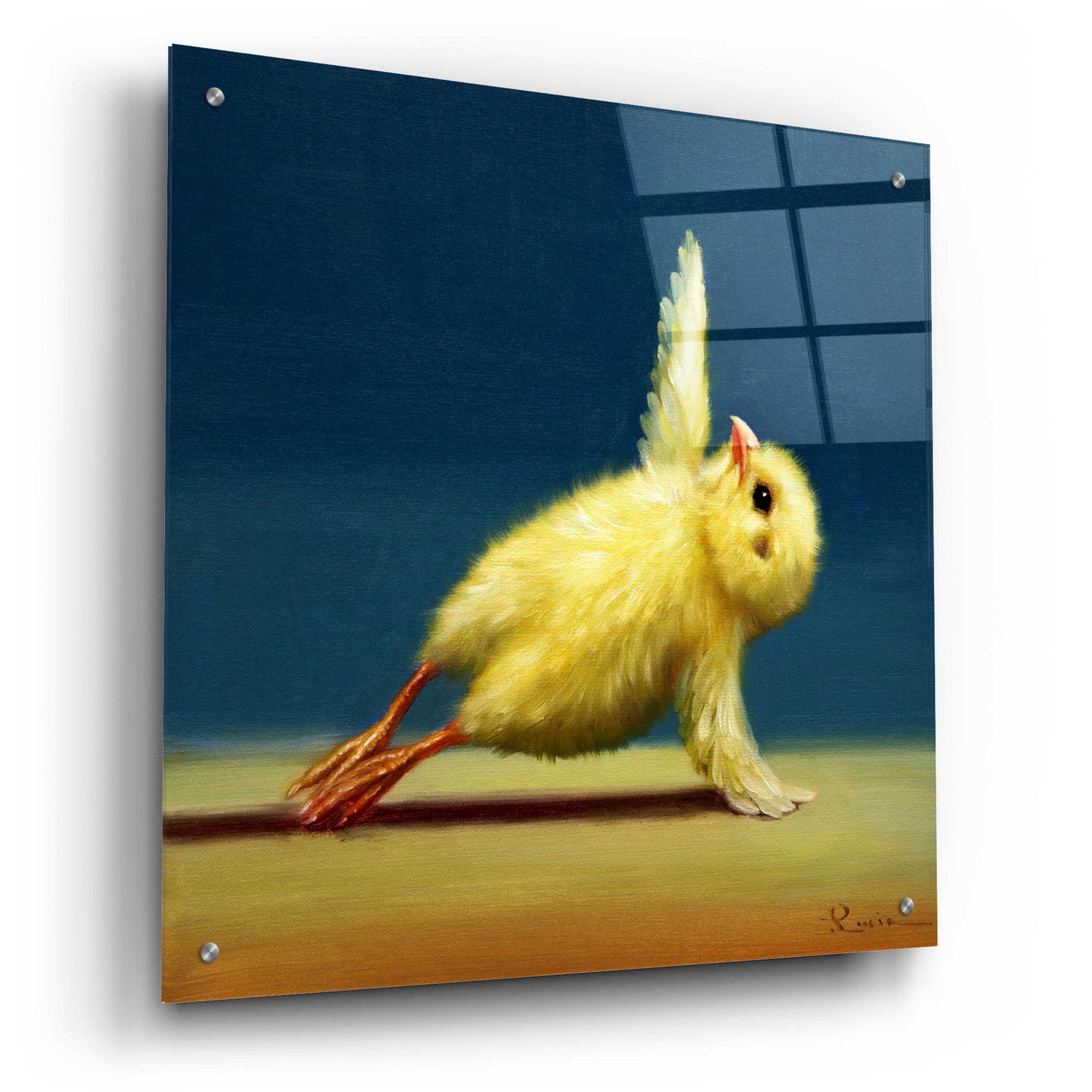 Epic Art 'Yoga Chick Side Plank' by Lucia Heffernan,24x24