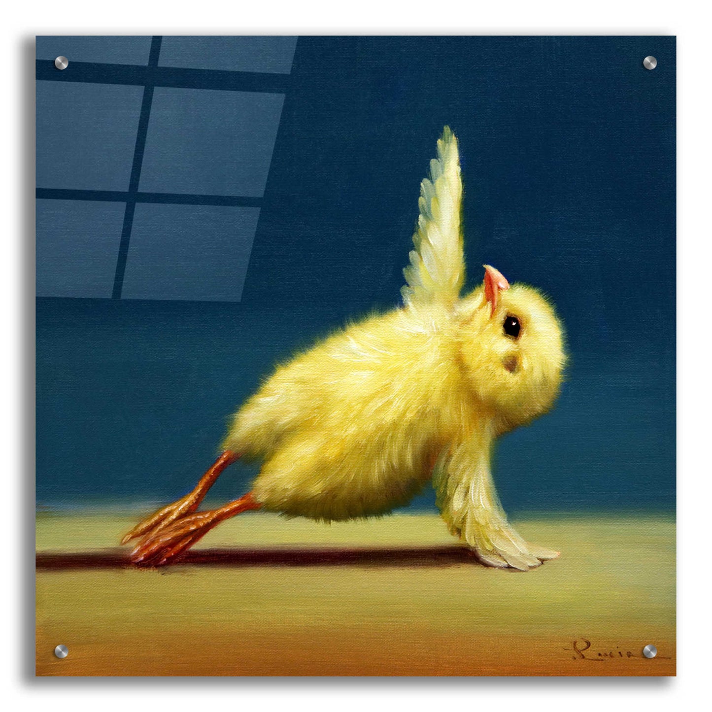 Epic Art 'Yoga Chick Side Plank' by Lucia Heffernan,24x24