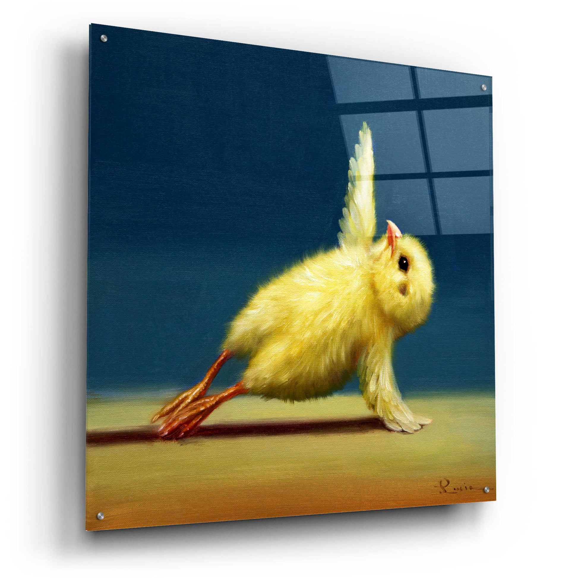 Epic Art 'Yoga Chick Side Plank' by Lucia Heffernan,36x36