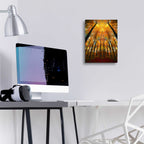 Epic Art 'Beginning of Autumn' by Philippe Sainte-Laudy, Acrylic Glass Wall Art,12x16
