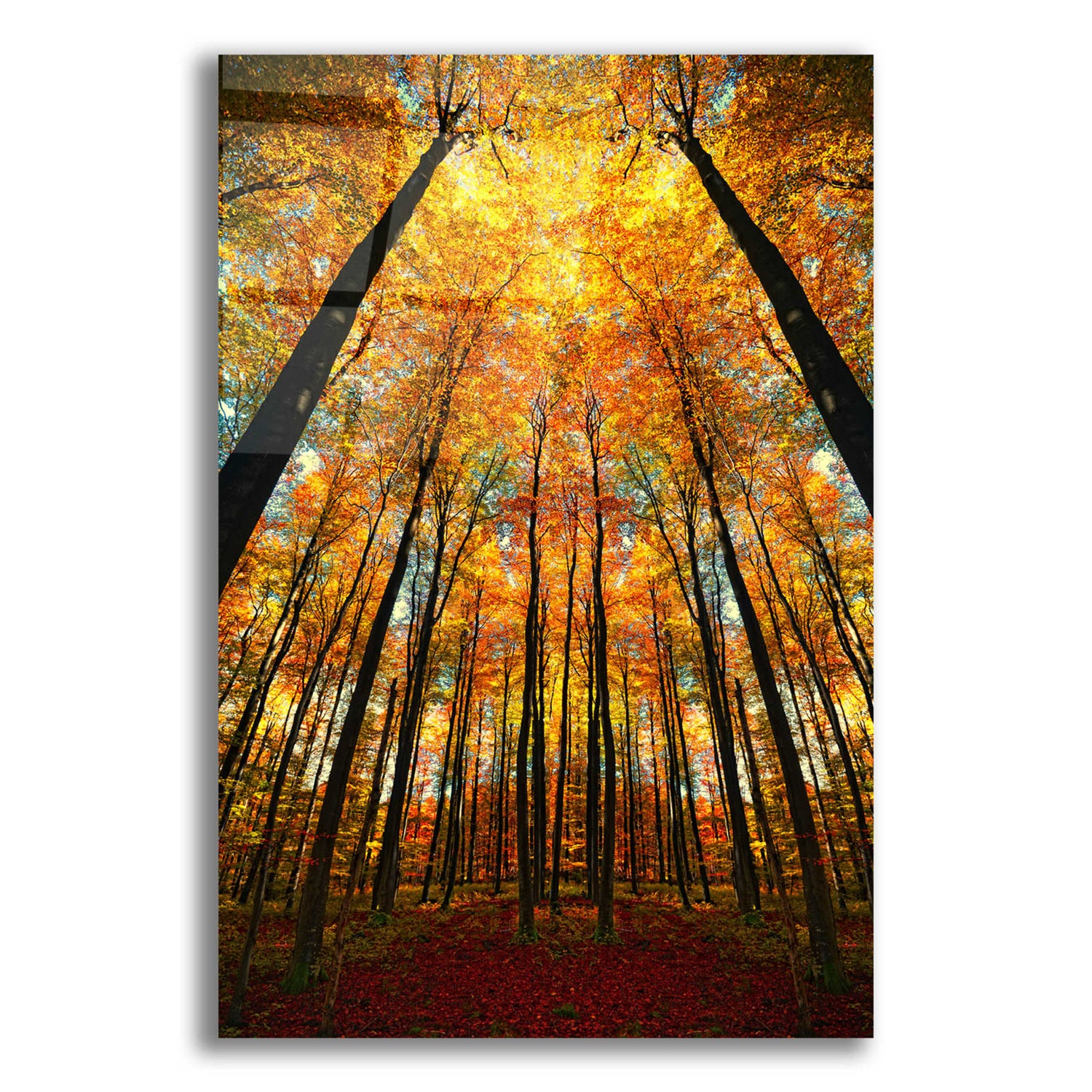 Epic Art 'Beginning of Autumn' by Philippe Sainte-Laudy, Acrylic Glass Wall Art