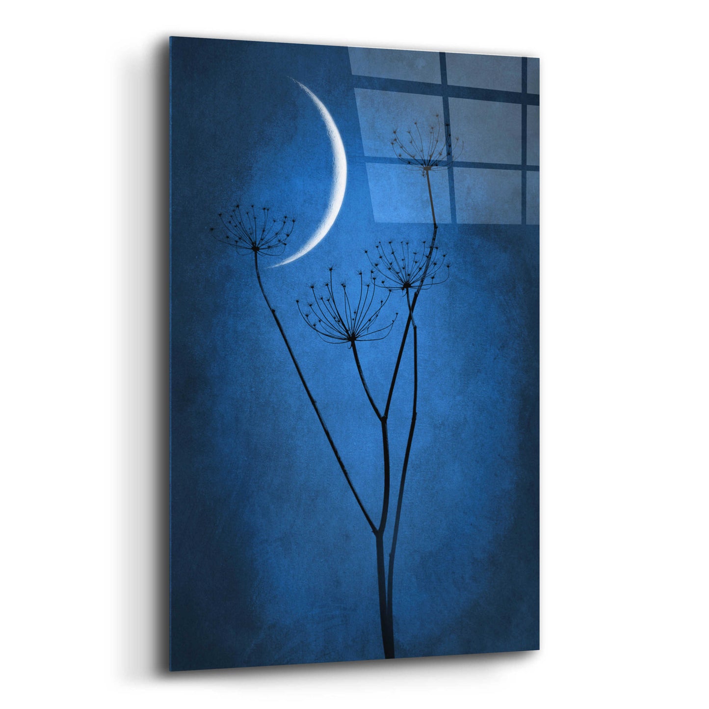 Epic Art 'Blue Crescent Moon' by Philippe Sainte-Laudy, Acrylic Glass Wall Art,12x16