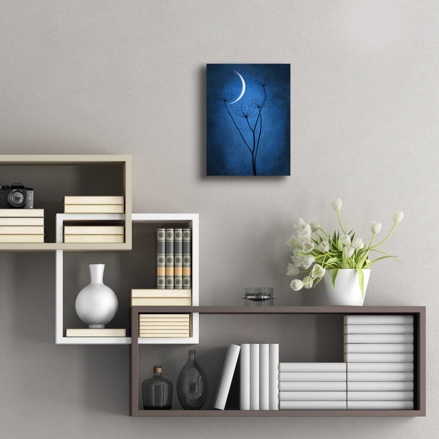 Epic Art 'Blue Crescent Moon' by Philippe Sainte-Laudy, Acrylic Glass Wall Art,12x16