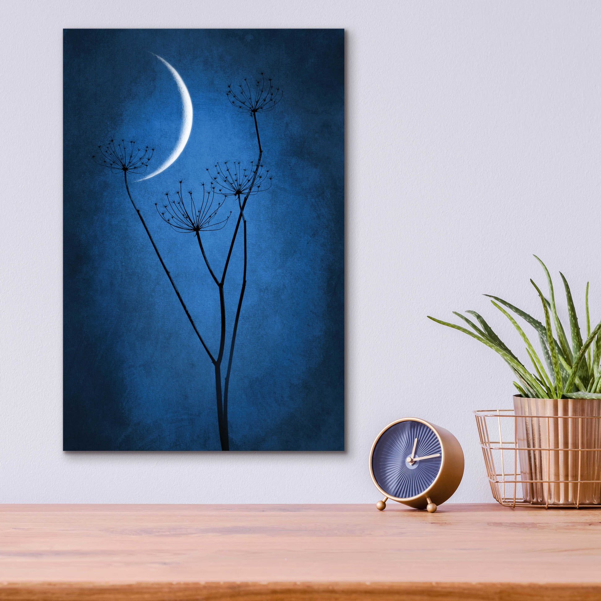 Epic Art 'Blue Crescent Moon' by Philippe Sainte-Laudy, Acrylic Glass Wall Art,12x16