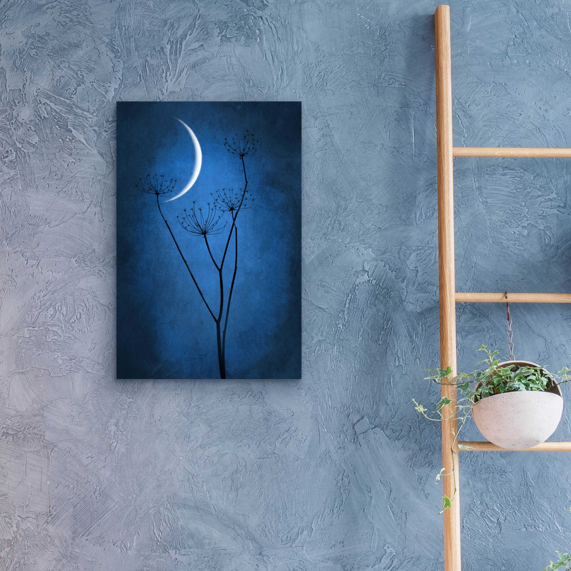 Epic Art 'Blue Crescent Moon' by Philippe Sainte-Laudy, Acrylic Glass Wall Art,16x24