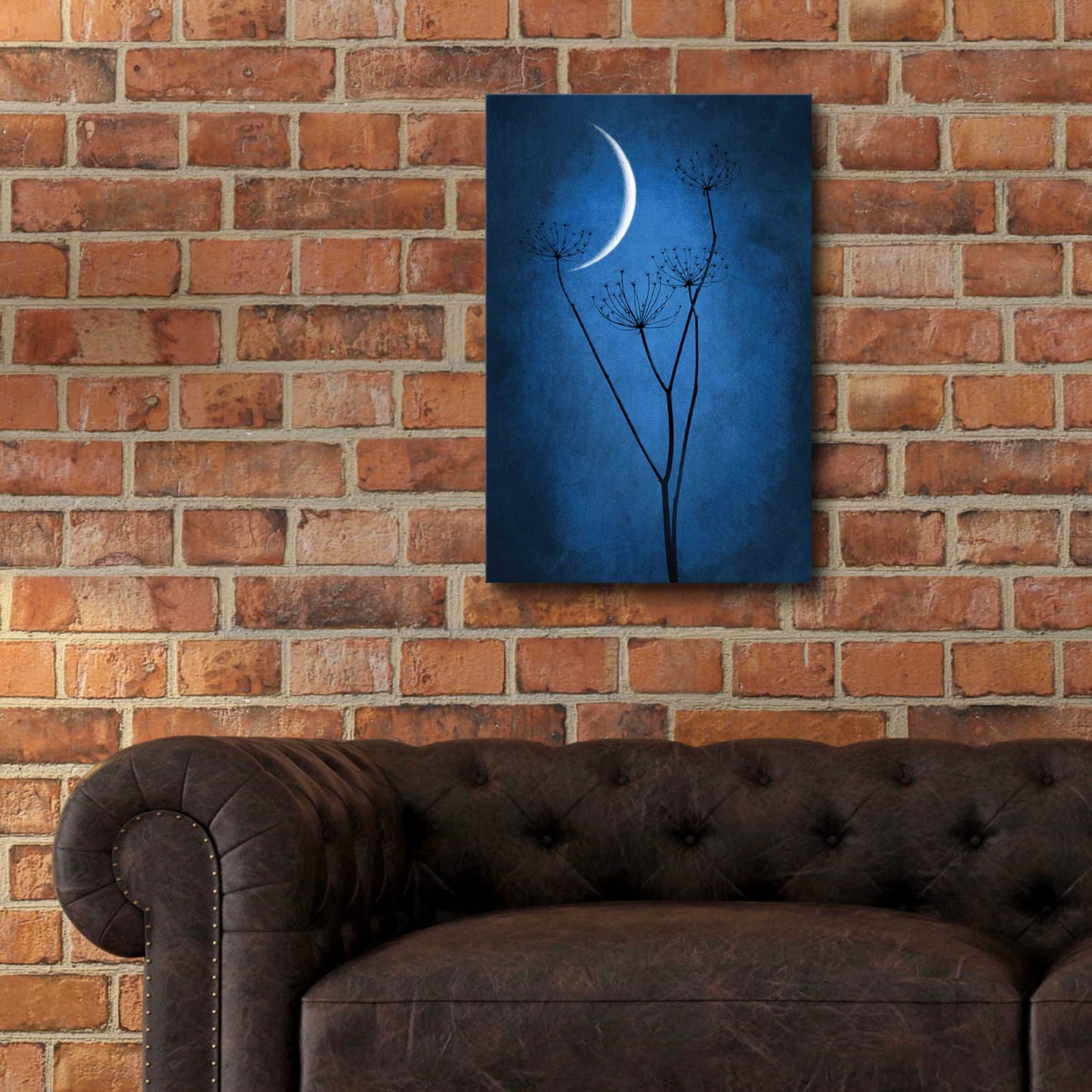 Epic Art 'Blue Crescent Moon' by Philippe Sainte-Laudy, Acrylic Glass Wall Art,16x24