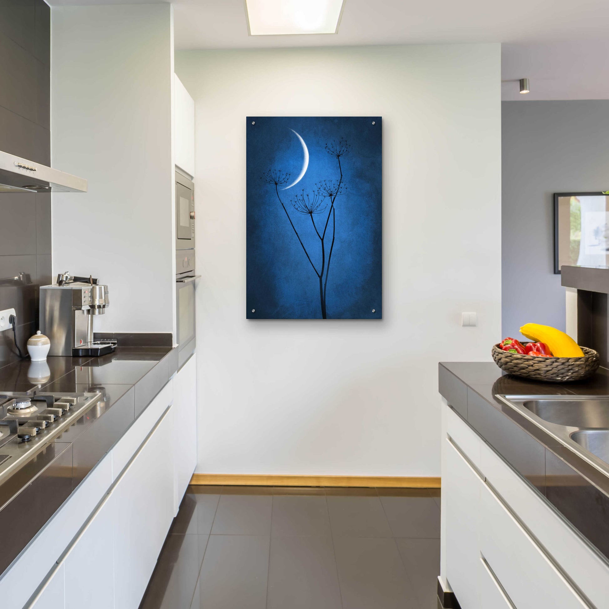 Epic Art 'Blue Crescent Moon' by Philippe Sainte-Laudy, Acrylic Glass Wall Art,24x36