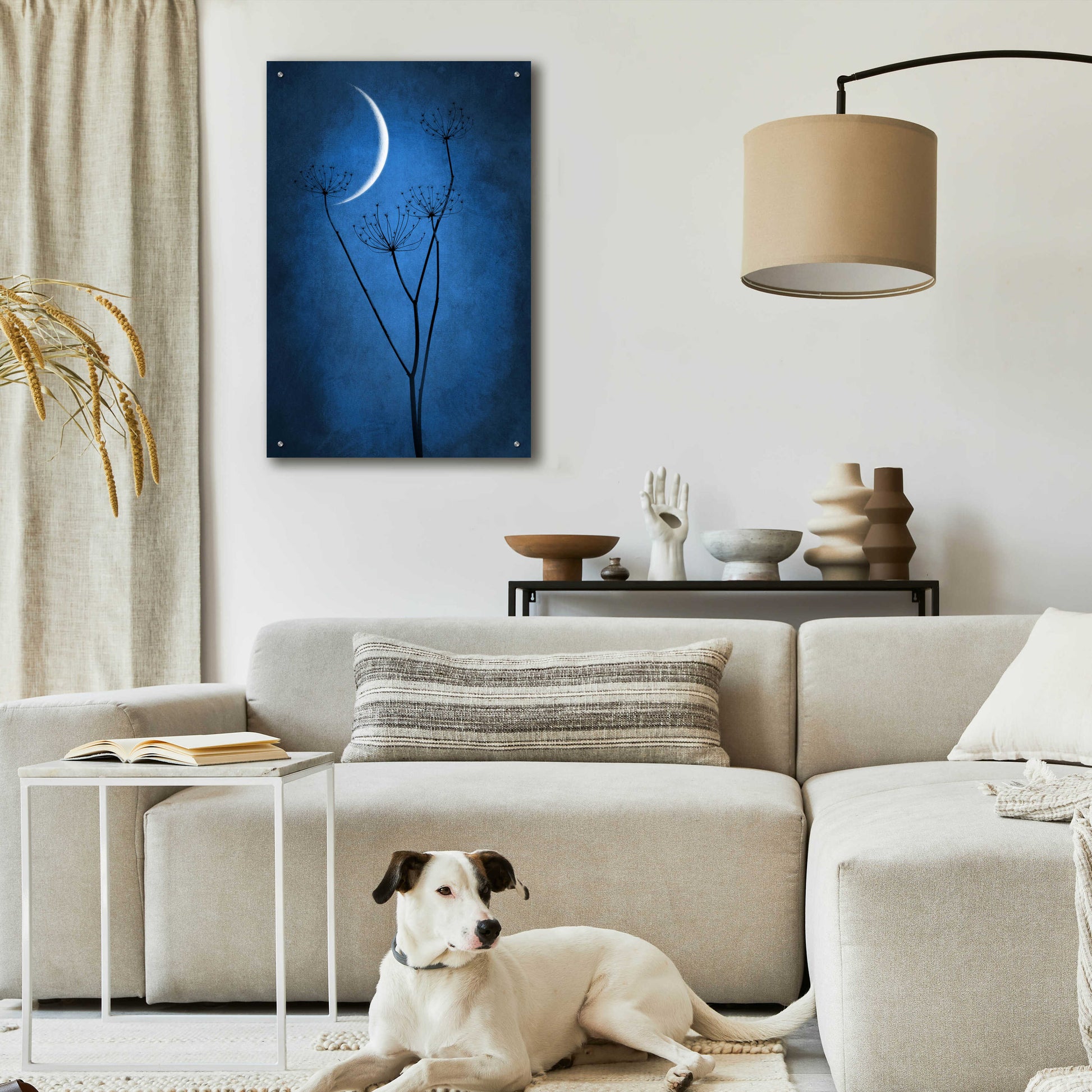 Epic Art 'Blue Crescent Moon' by Philippe Sainte-Laudy, Acrylic Glass Wall Art,24x36