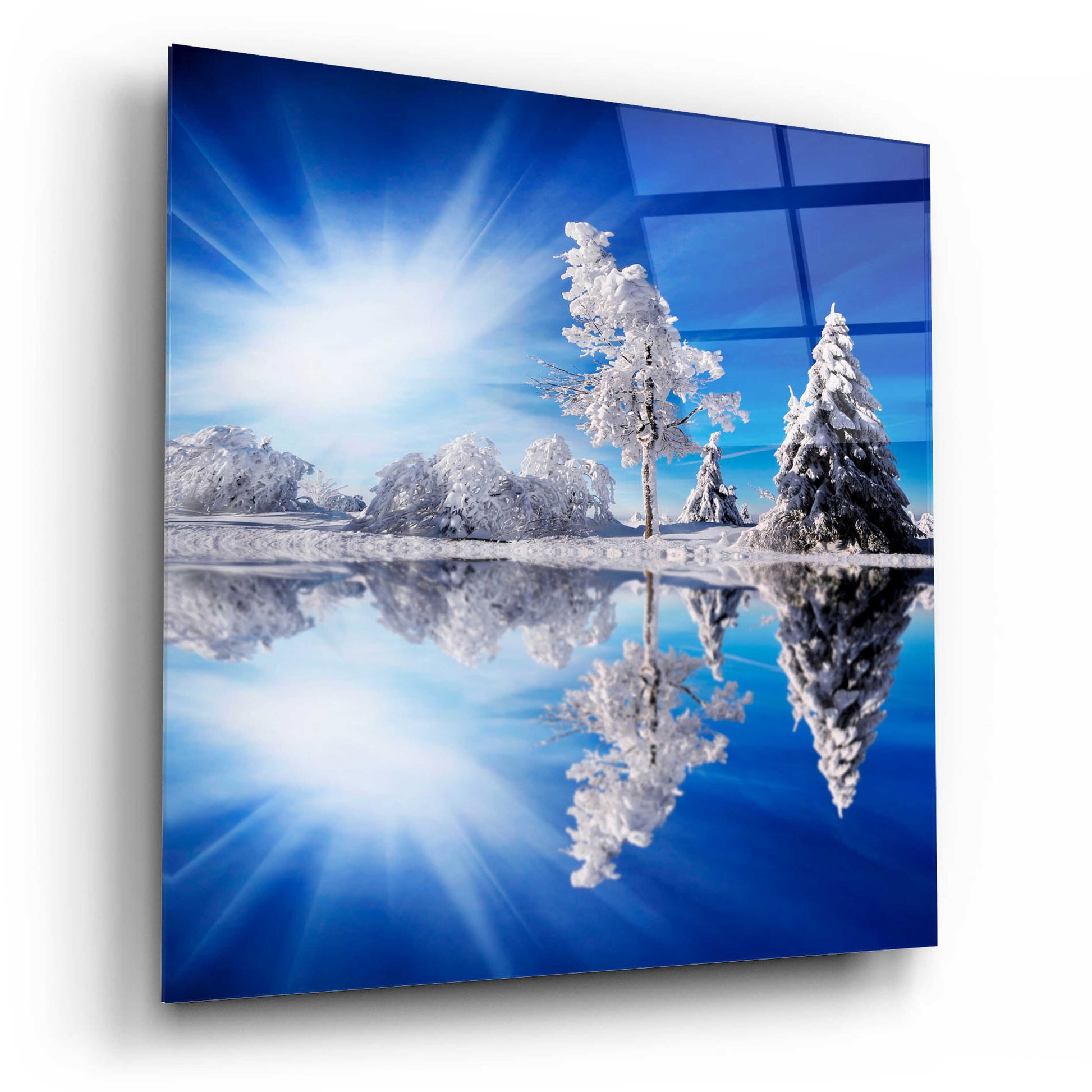 Epic Art 'Cold Light' by Philippe Sainte-Laudy, Acrylic Glass Wall Art,12x12