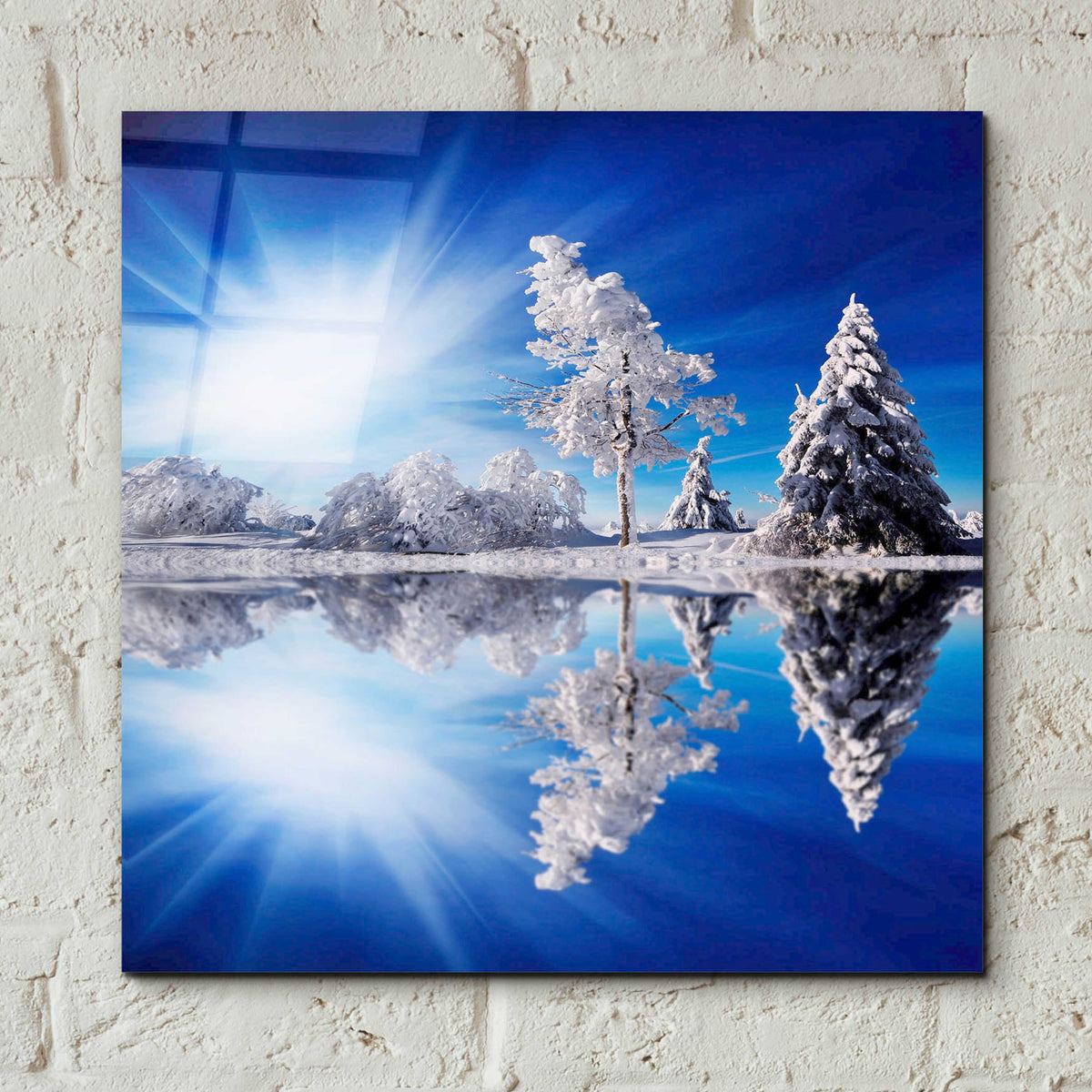 Epic Art 'Cold Light' by Philippe Sainte-Laudy, Acrylic Glass Wall Art,12x12