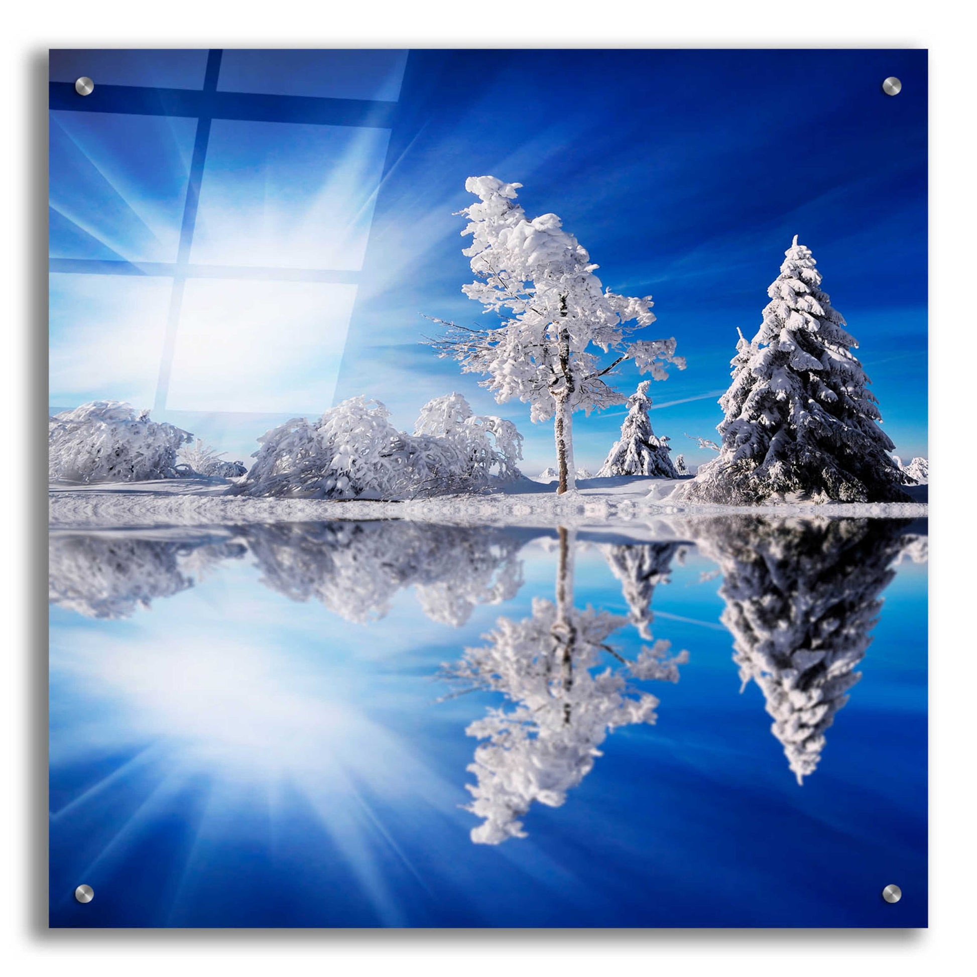 Epic Art 'Cold Light' by Philippe Sainte-Laudy, Acrylic Glass Wall Art,24x24