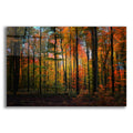 Epic Art 'Crayons de Couleur' by Philippe Sainte-Laudy, Acrylic Glass Wall Art