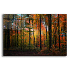 Epic Art 'Crayons de Couleur' by Philippe Sainte-Laudy, Acrylic Glass Wall Art