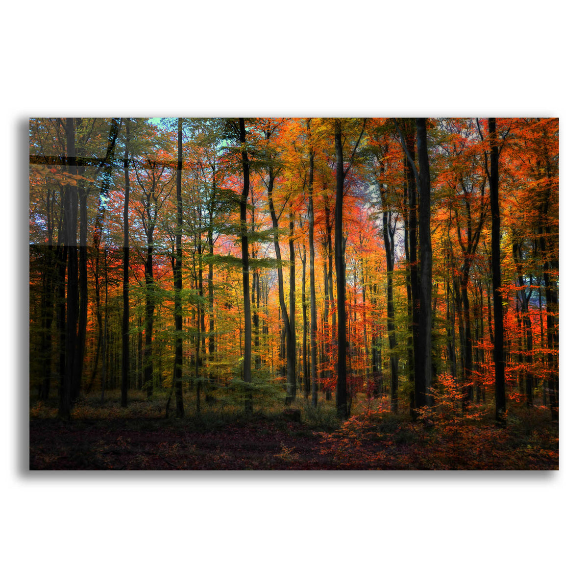 Epic Art 'Crayons de Couleur' by Philippe Sainte-Laudy, Acrylic Glass Wall Art