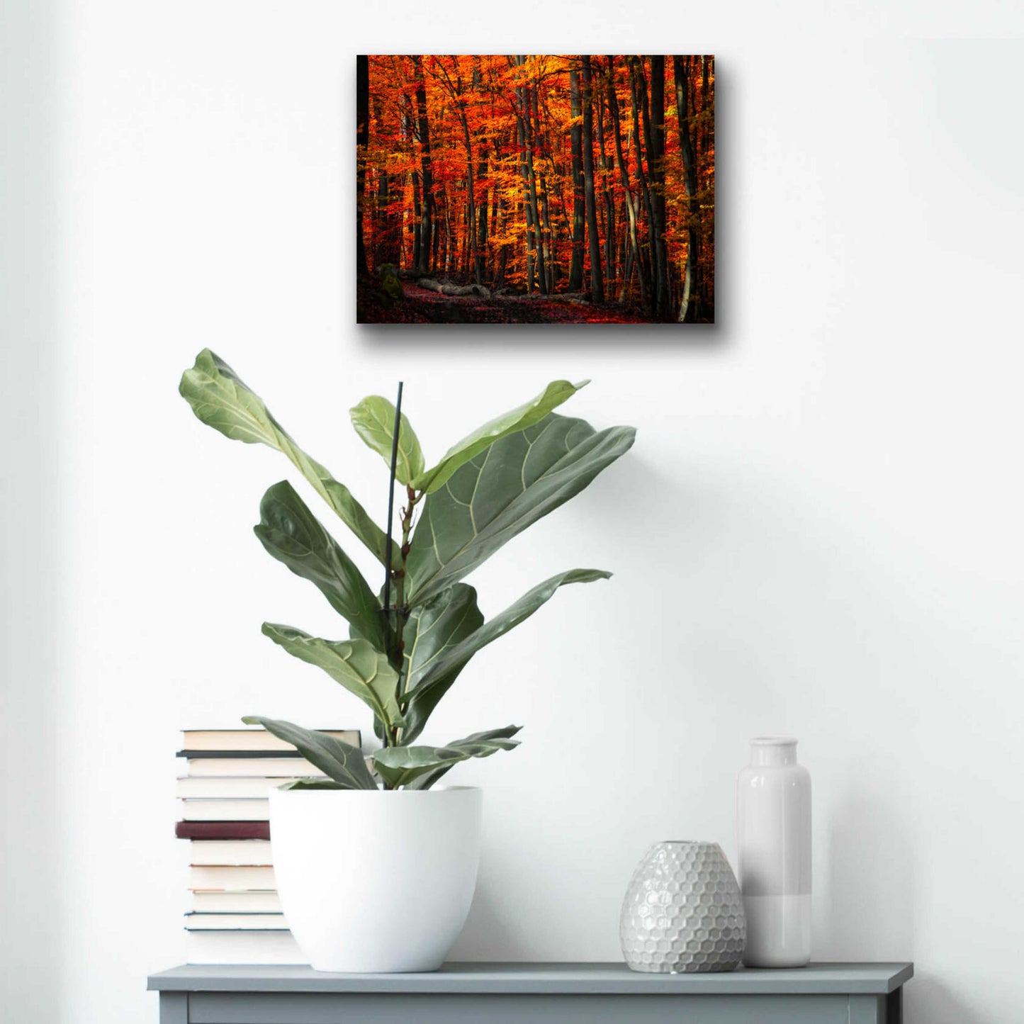 Epic Art 'Forest Density' by Philippe Sainte-Laudy, Acrylic Glass Wall Art,16x12