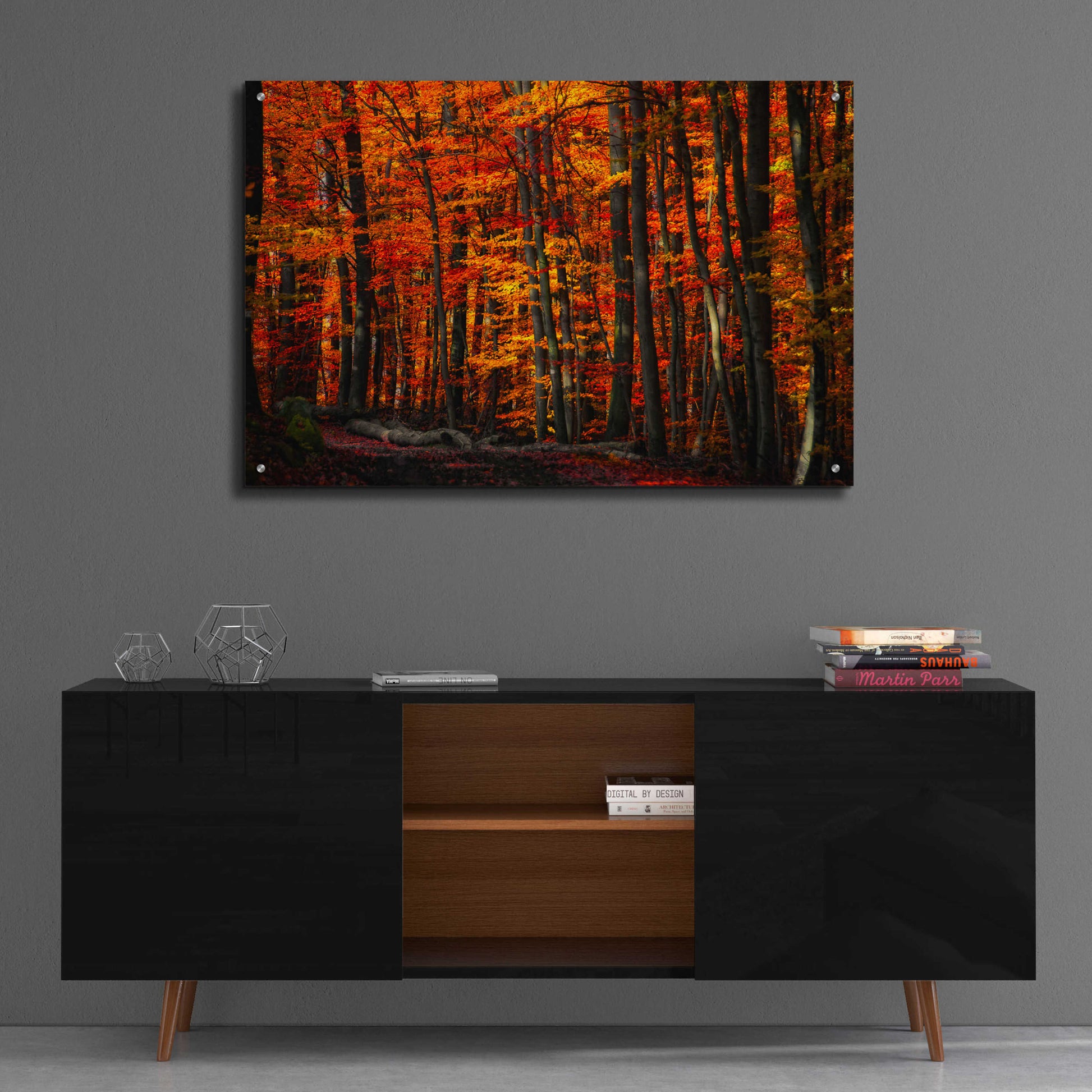 Epic Art 'Forest Density' by Philippe Sainte-Laudy, Acrylic Glass Wall Art,36x24