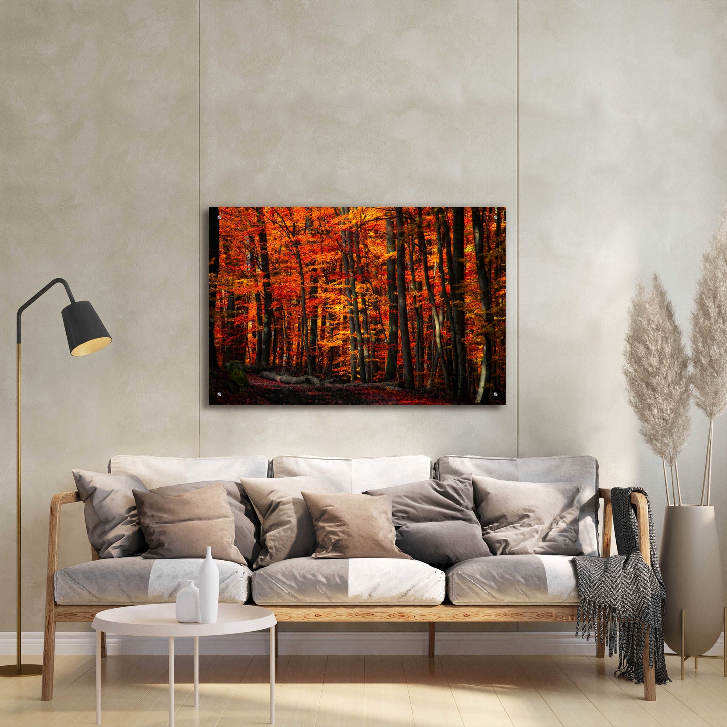 Epic Art 'Forest Density' by Philippe Sainte-Laudy, Acrylic Glass Wall Art,36x24