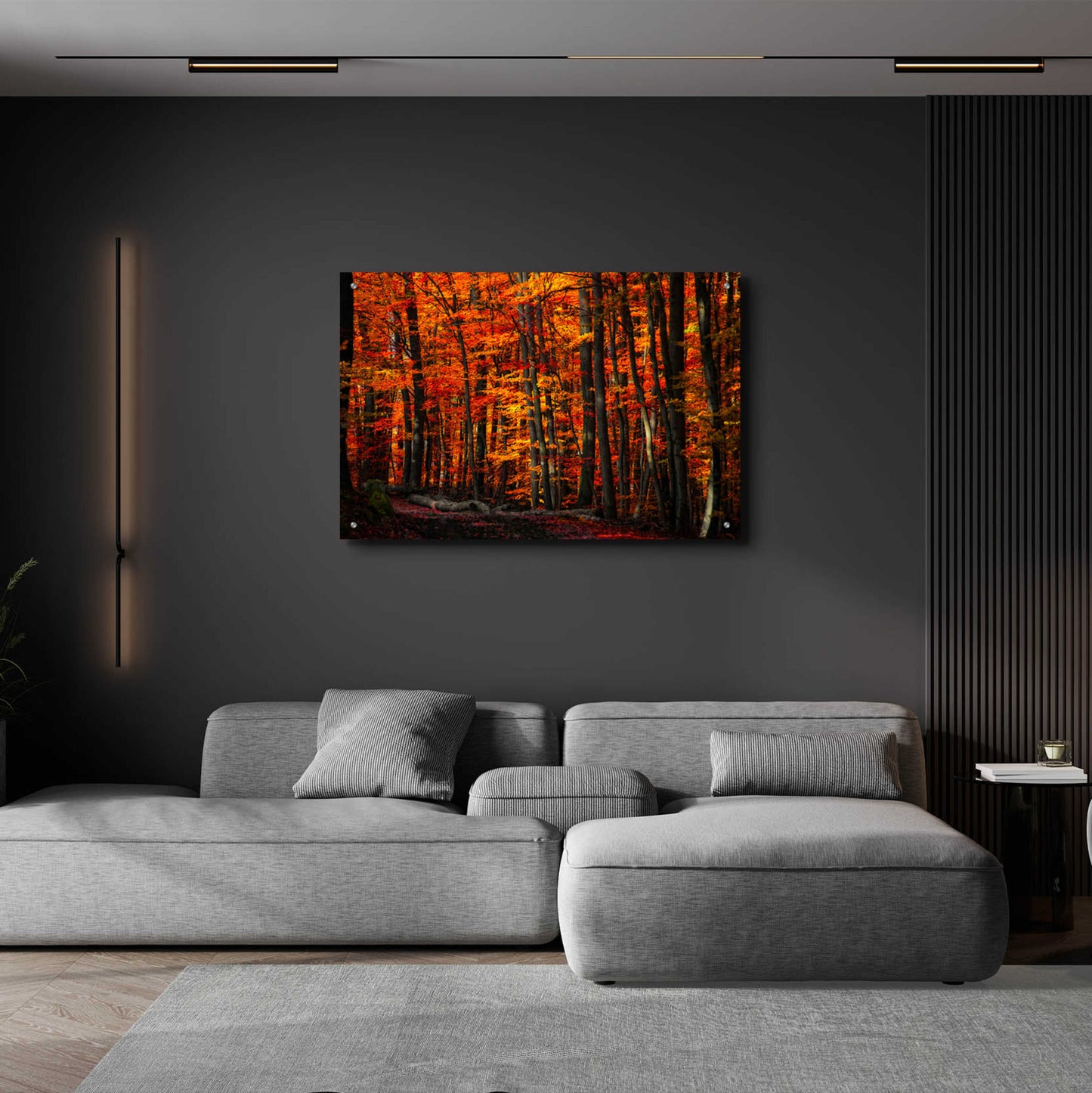 Epic Art 'Forest Density' by Philippe Sainte-Laudy, Acrylic Glass Wall Art,36x24