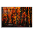 Epic Art 'Forest Density' by Philippe Sainte-Laudy, Acrylic Glass Wall Art
