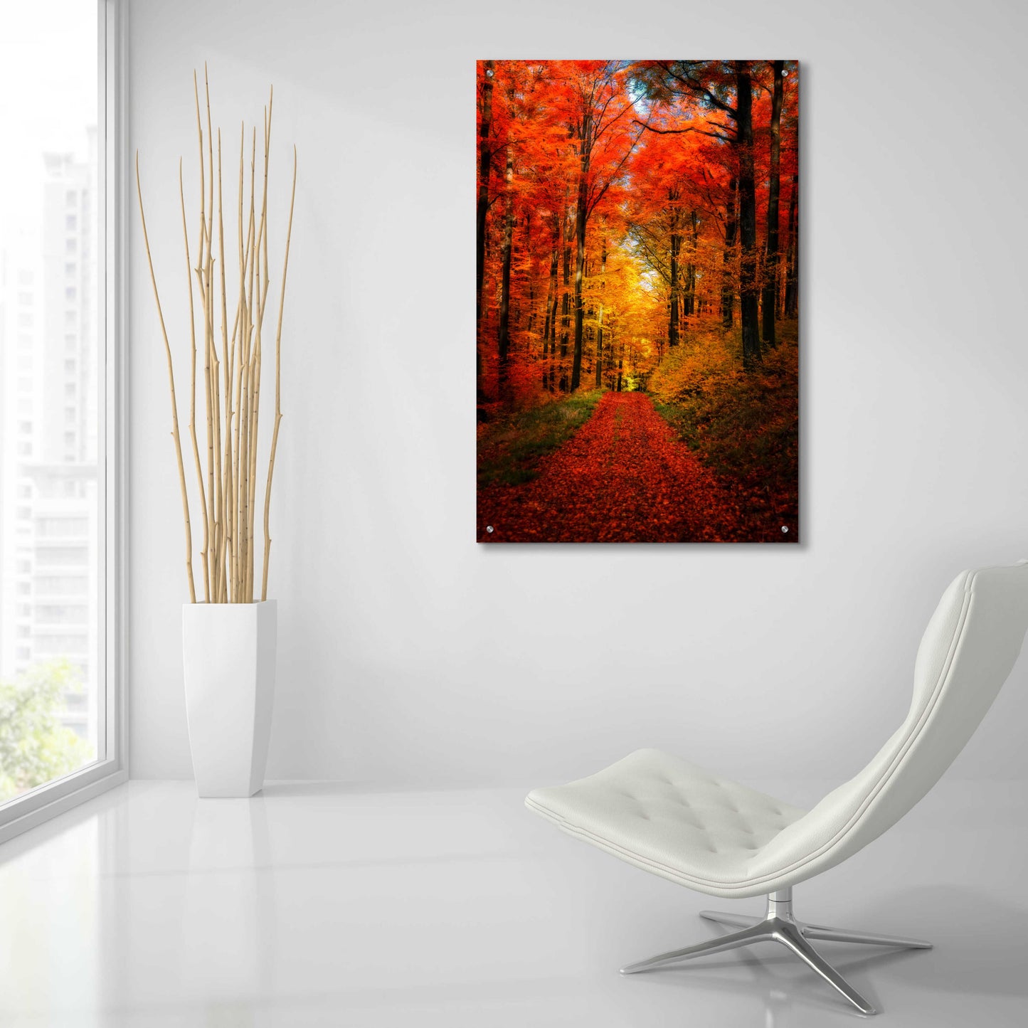 Epic Art 'Forest Garden' by Philippe Sainte-Laudy, Acrylic Glass Wall Art,24x36