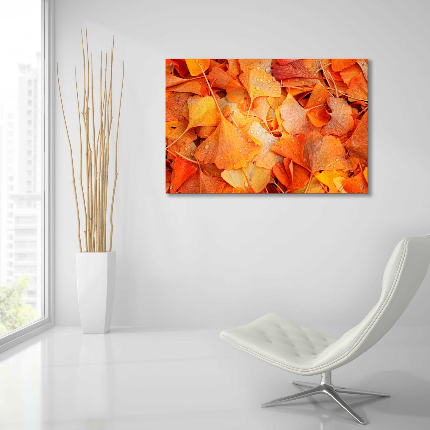 Epic Art 'Ginkgo Fall' by Philippe Sainte-Laudy, Acrylic Glass Wall Art,36x24