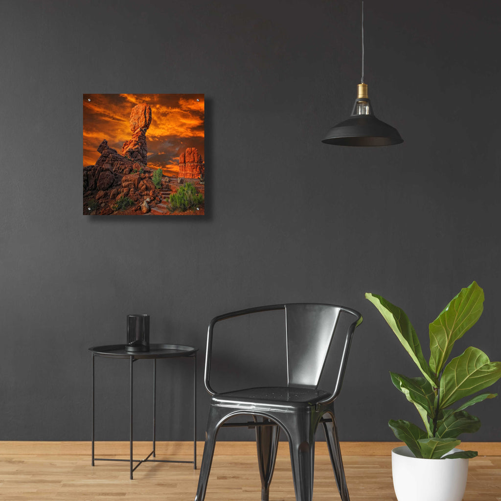 Epic Art 'Imagine...' by Philippe Sainte-Laudy, Acrylic Glass Wall Art,24x24
