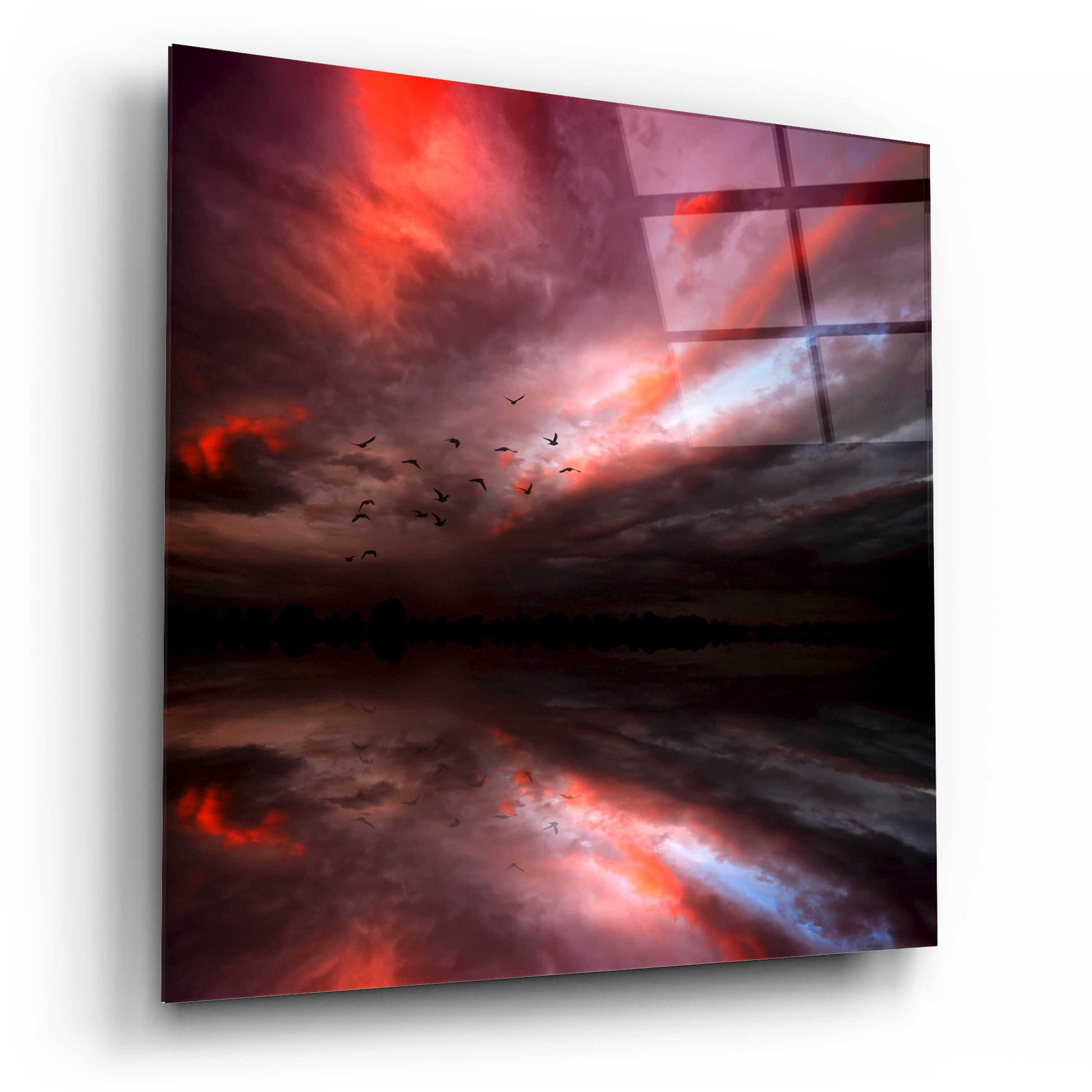 Epic Art 'Instant Karma' by Philippe Sainte-Laudy, Acrylic Glass Wall Art,12x12