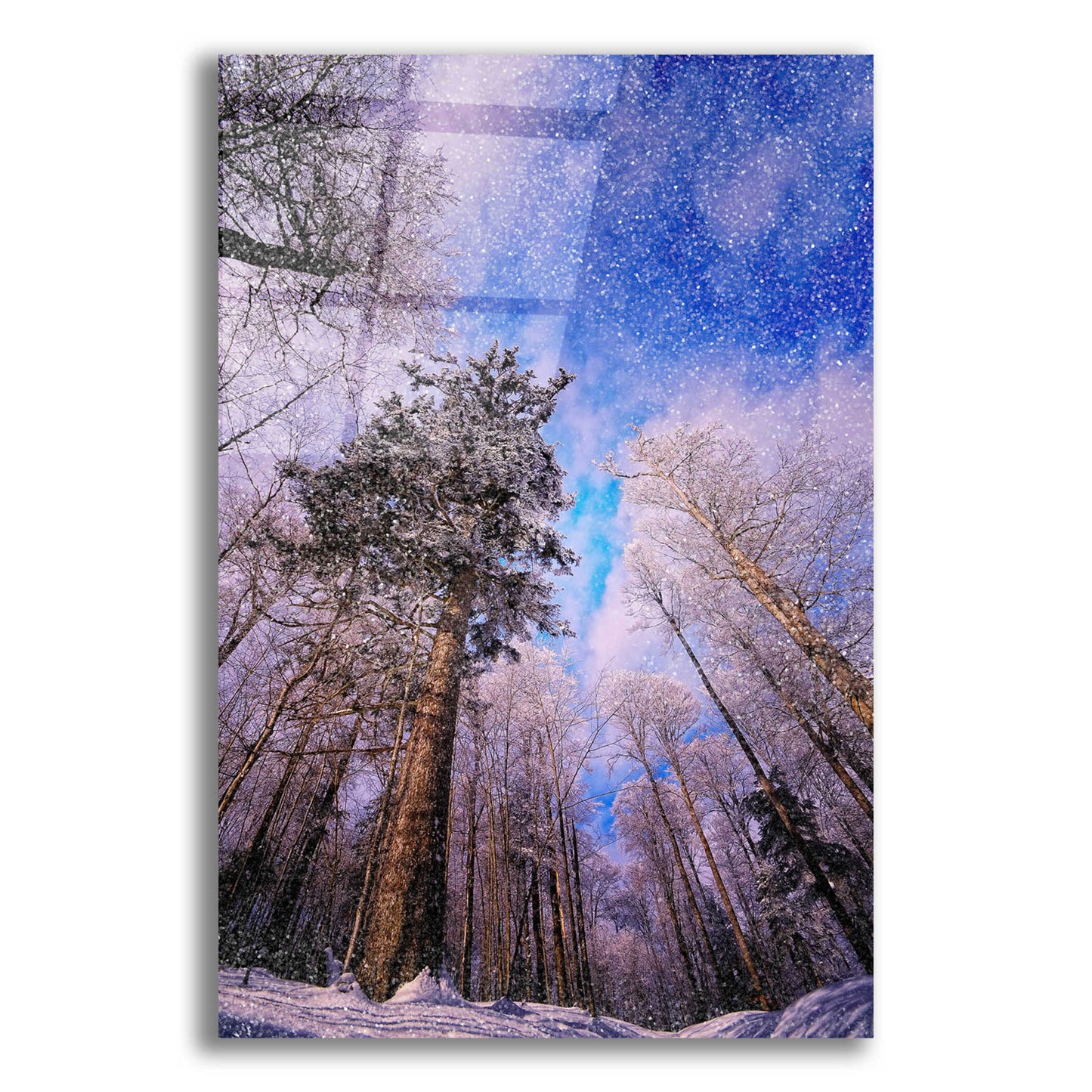 Epic Art 'Let it snow' by Philippe Sainte-Laudy, Acrylic Glass Wall Art,12x16