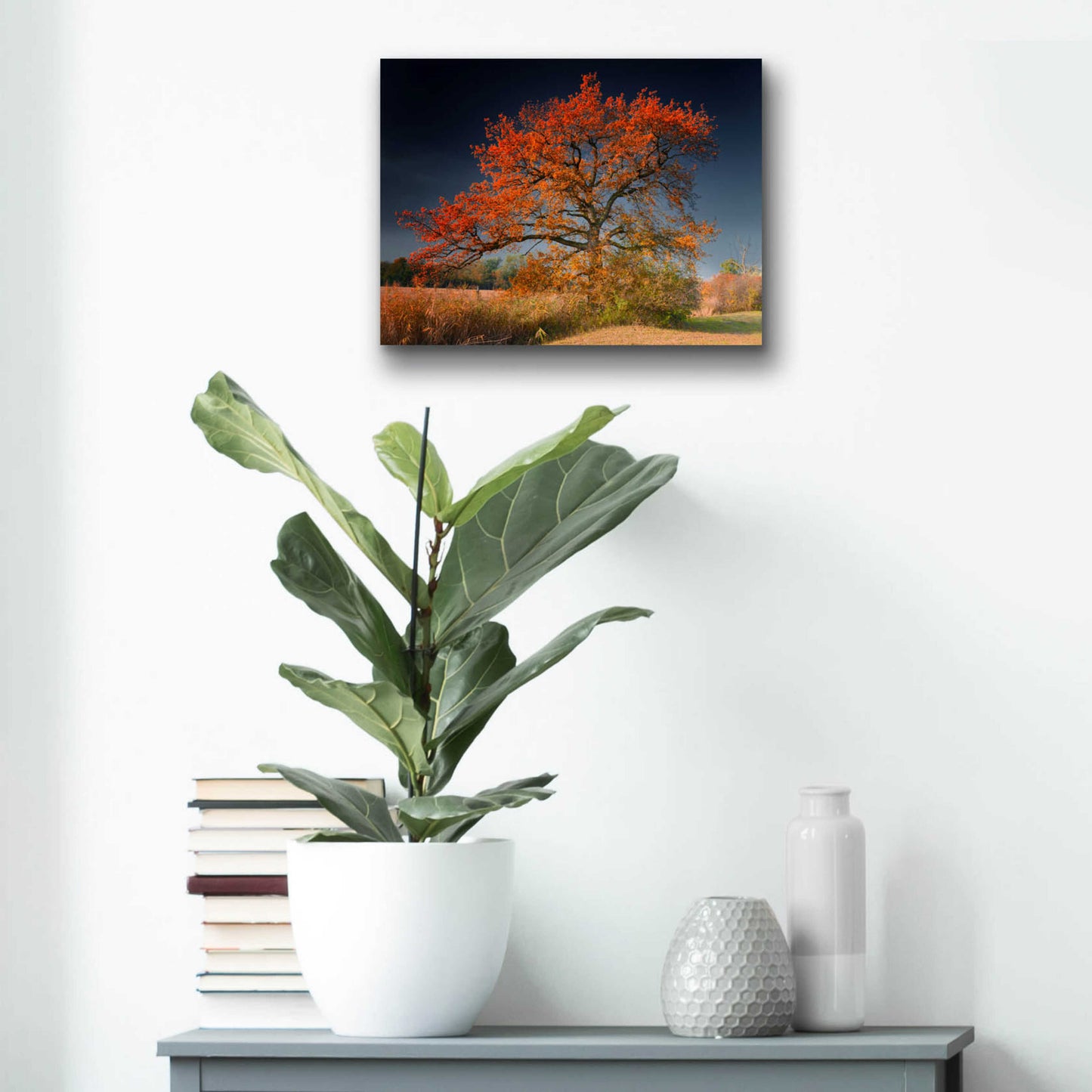 Epic Art 'Melancholy Tree' by Philippe Sainte-Laudy, Acrylic Glass Wall Art,16x12